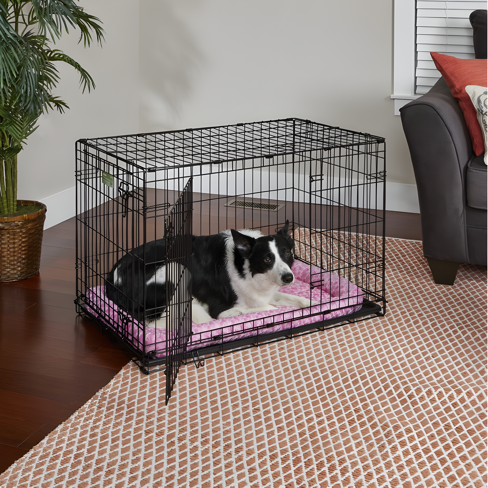 MidWest Homes for Pets Deluxe Fashion Bolster Pet Bed