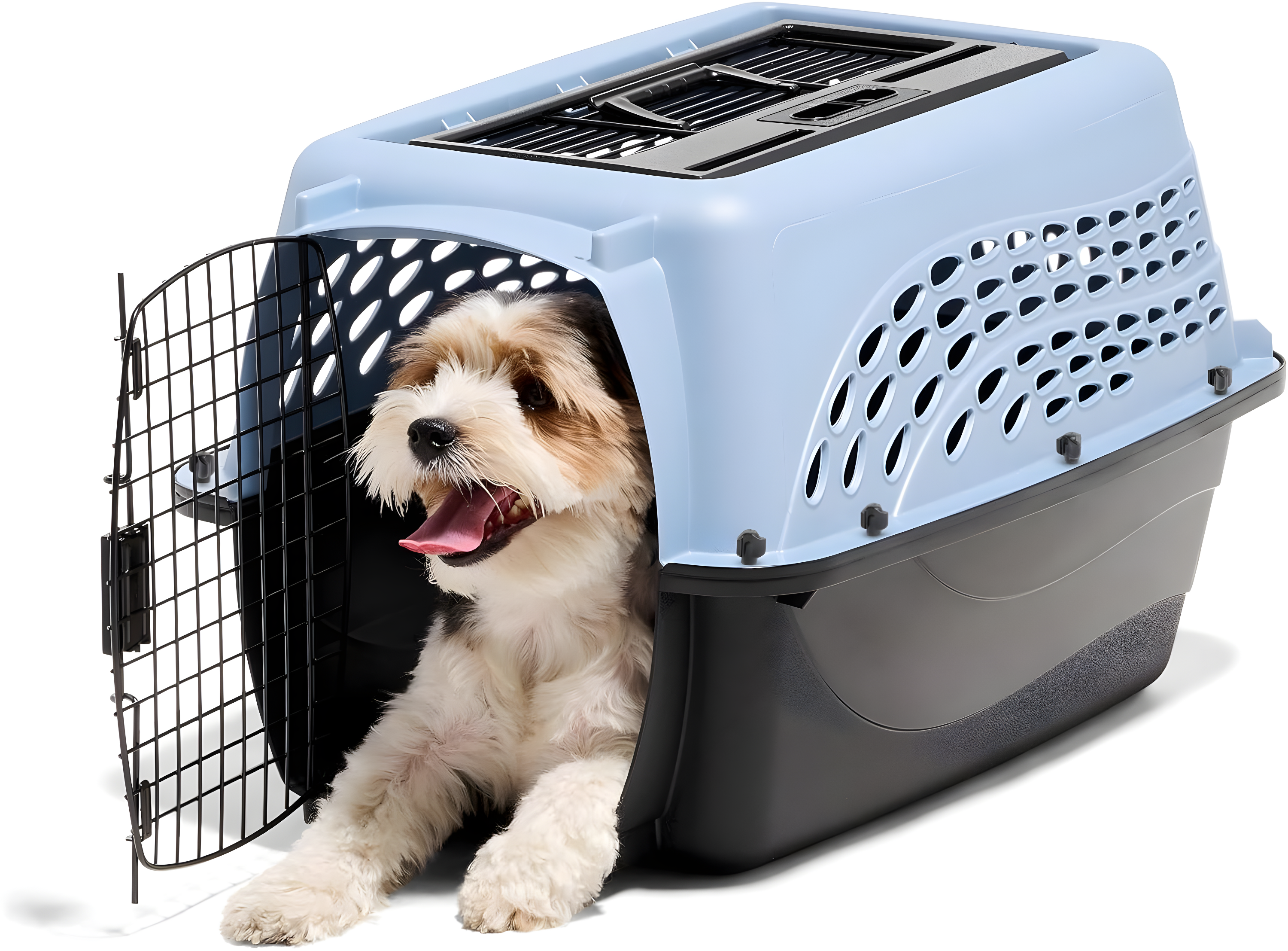 Petmate Plastic Pet Carrier with 1 Door