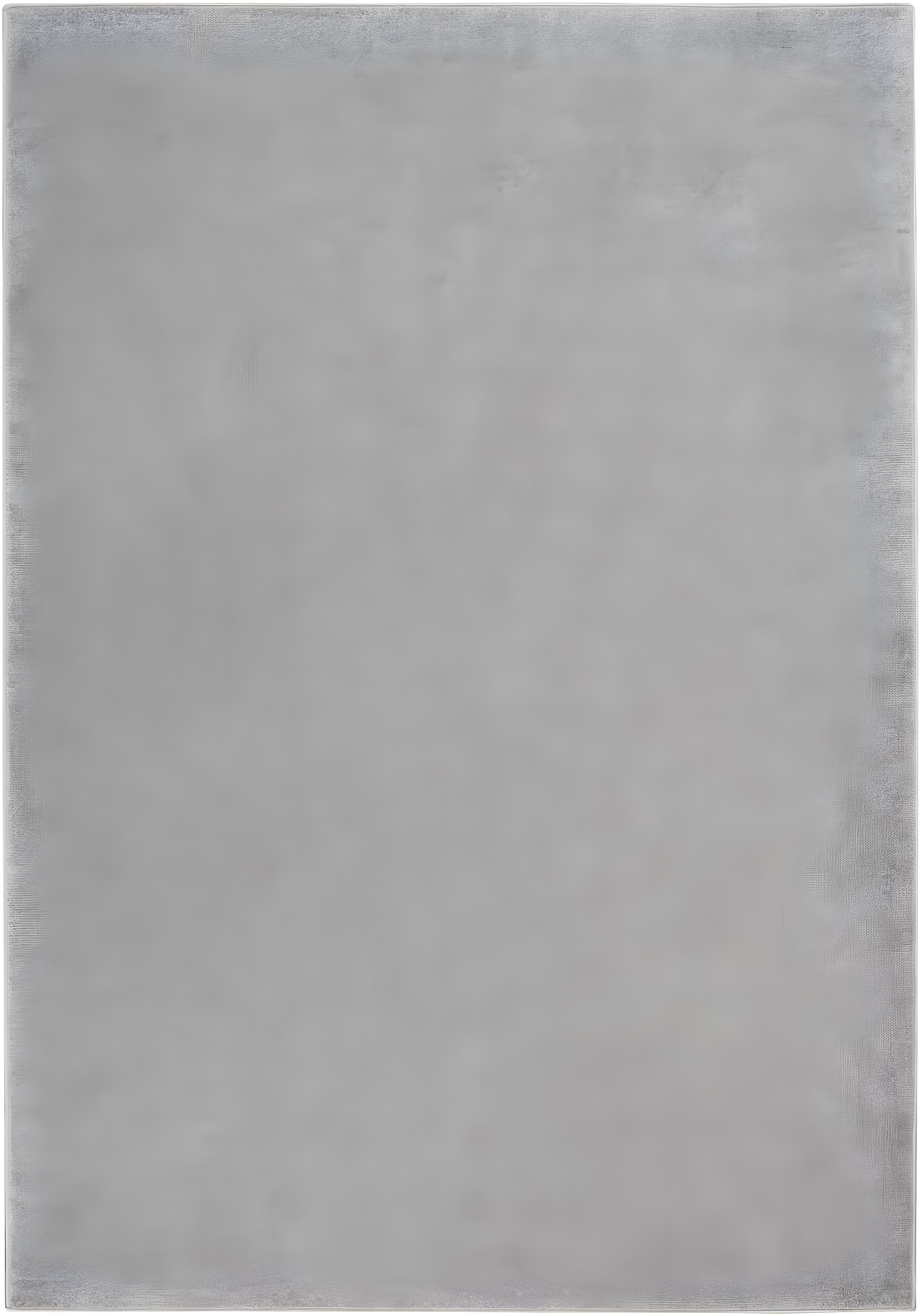 Nourison Essentials Easy Care Indoor Outdoor Area Rug - Silver Grey 6' x 9'