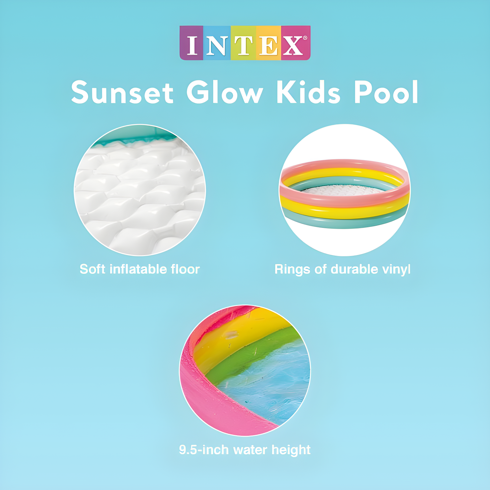 Intex Plastic Kiddie Pool & Reviews | Wayfair