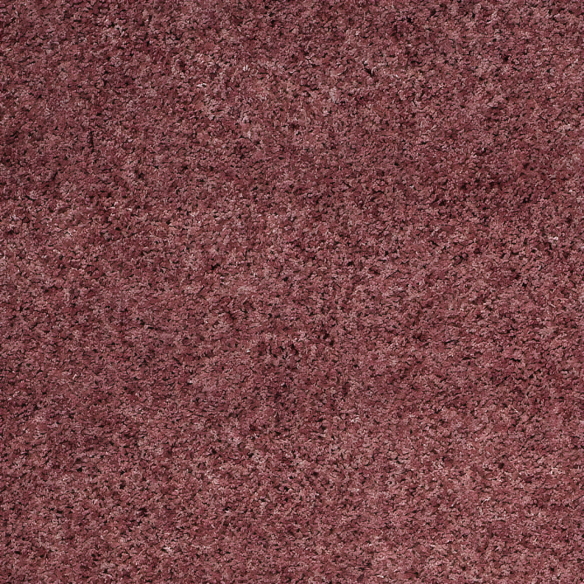 SAFAVIEH California Solid Plush Shag Area Rug, Rose, 8' x 10'