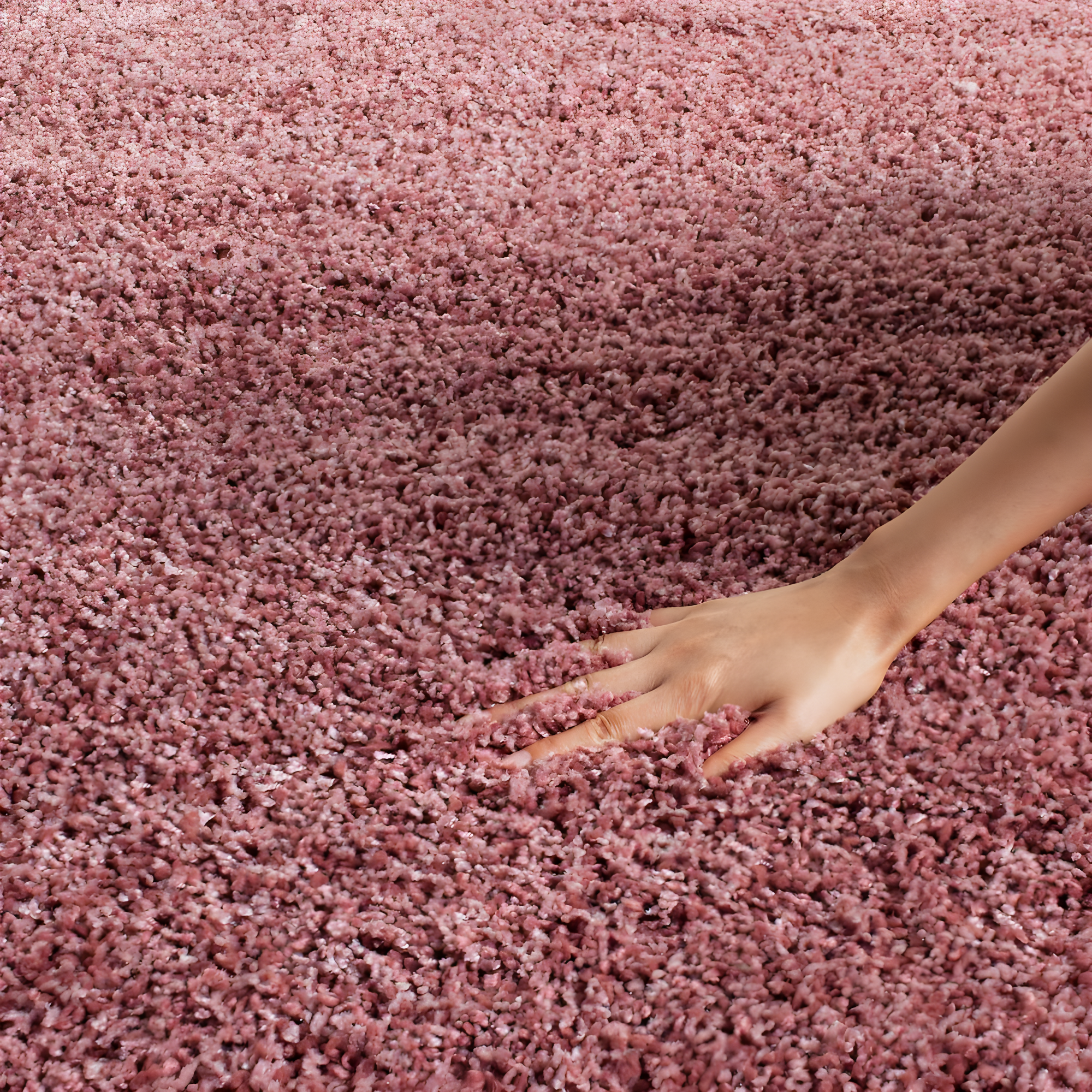 SAFAVIEH California Solid Plush Shag Area Rug, Rose, 8' x 10'