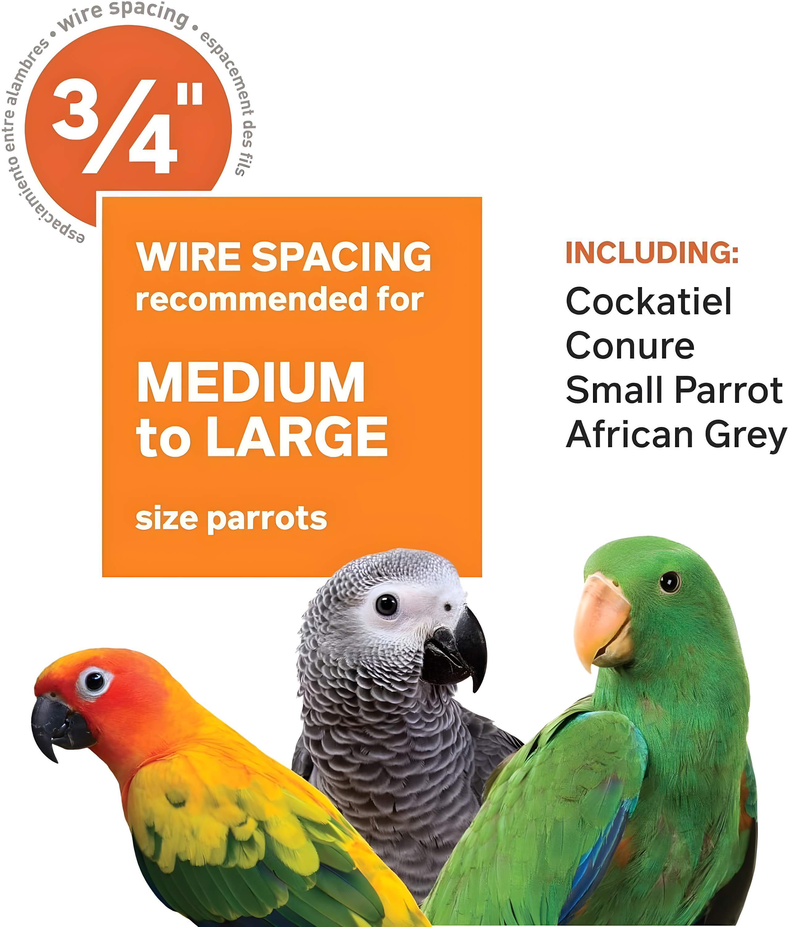 Prevue Pet Products Select Wrought Iron Sage Green Bird Cage