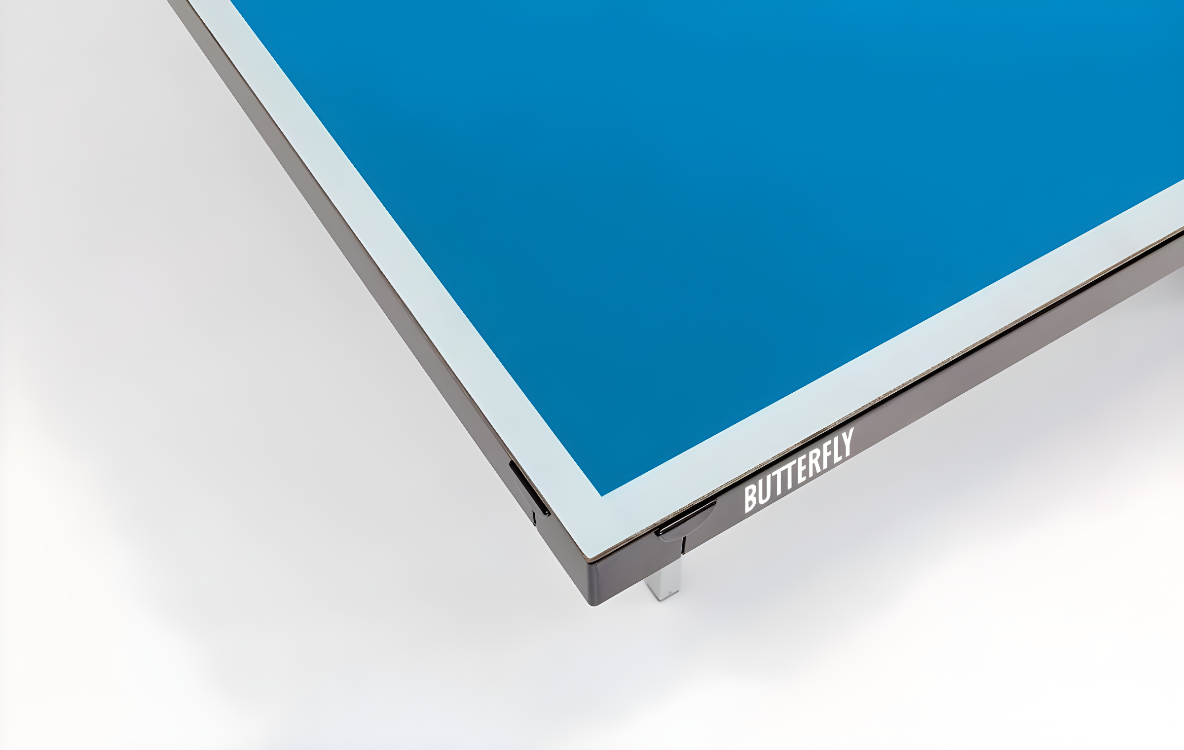 Butterfly Butterfly Indoor/Outdoor Playback Rollaway Foldable Table Tennis Table (6mm Thick)