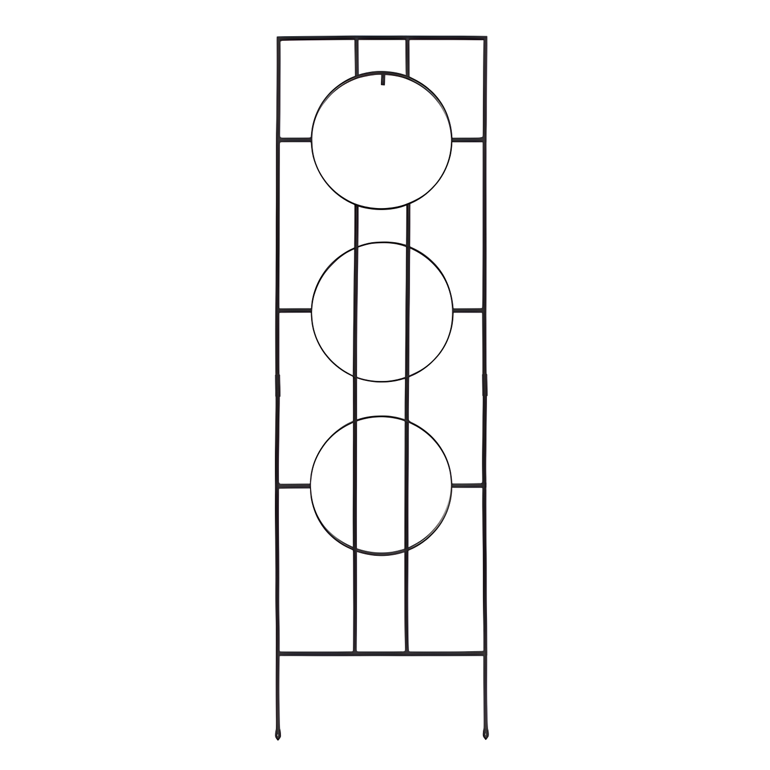 Theodora Trellis