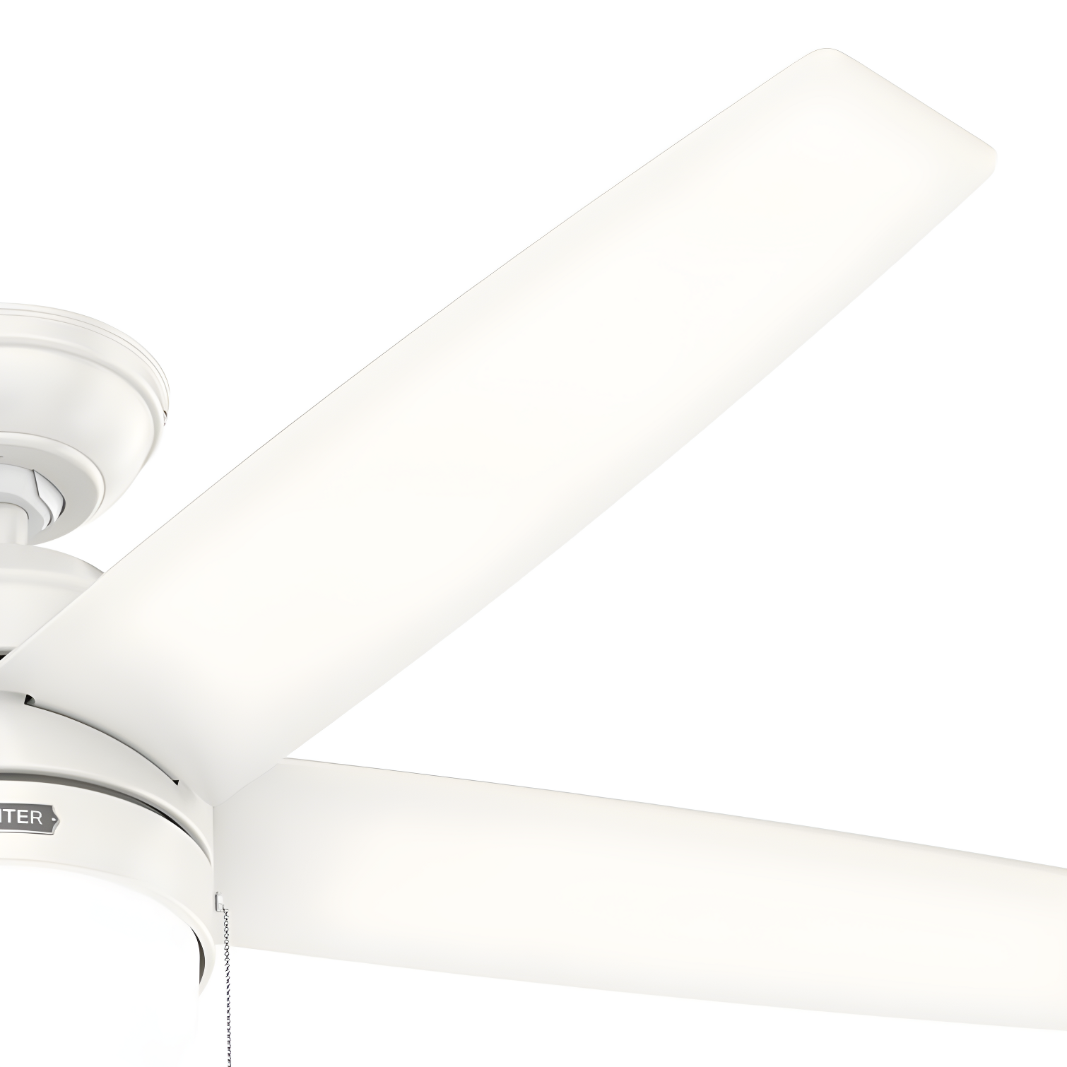 Bardot 52" 5 - Blade Ceiling Fan With Lights and Pull Chains