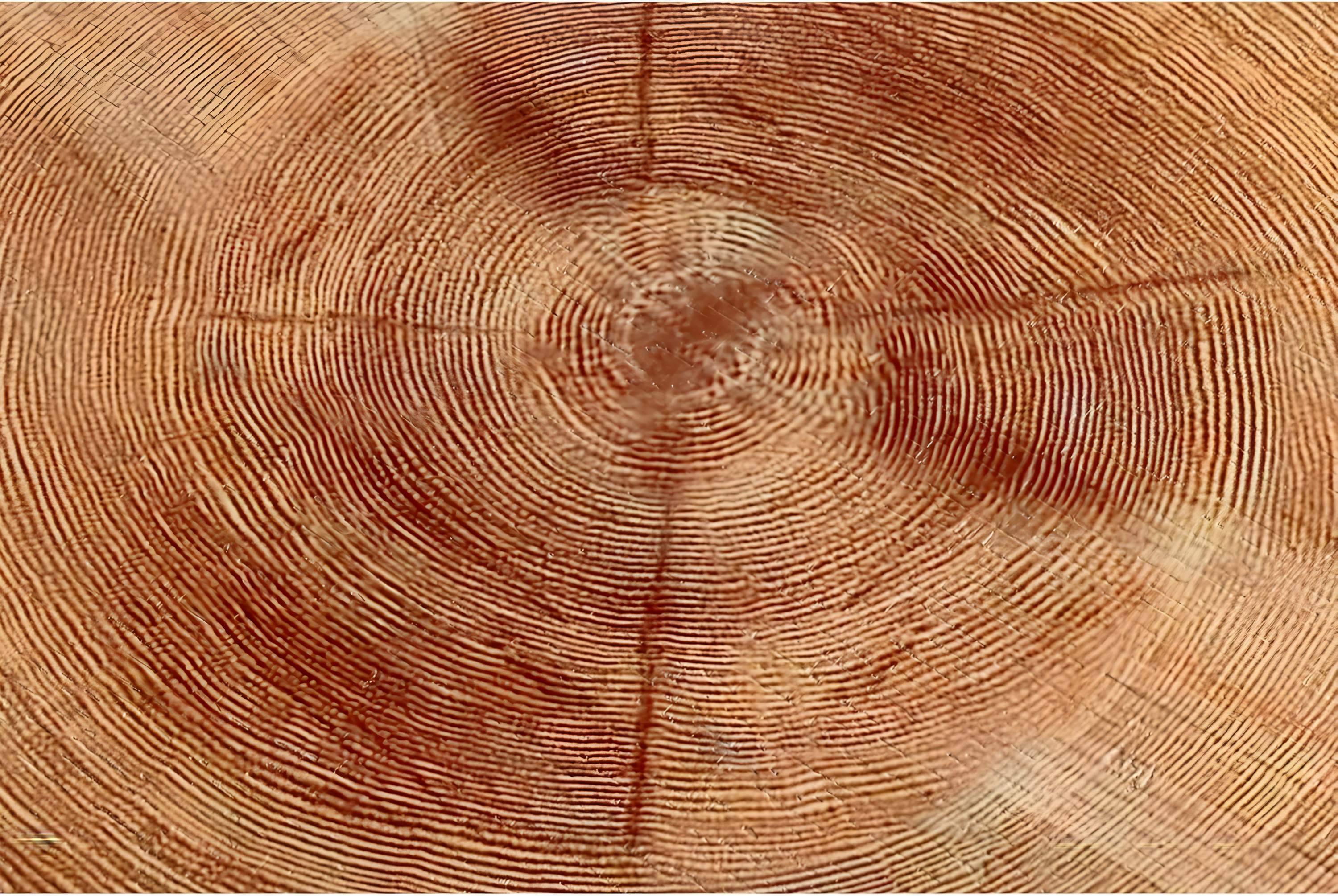 COZAYH 2-Piece Modern Farmhouse Living Room Coffee Table Set, Nesting Table Round Natural Finish with Handcrafted Wood Ring Motif, Light Red + Wood Color