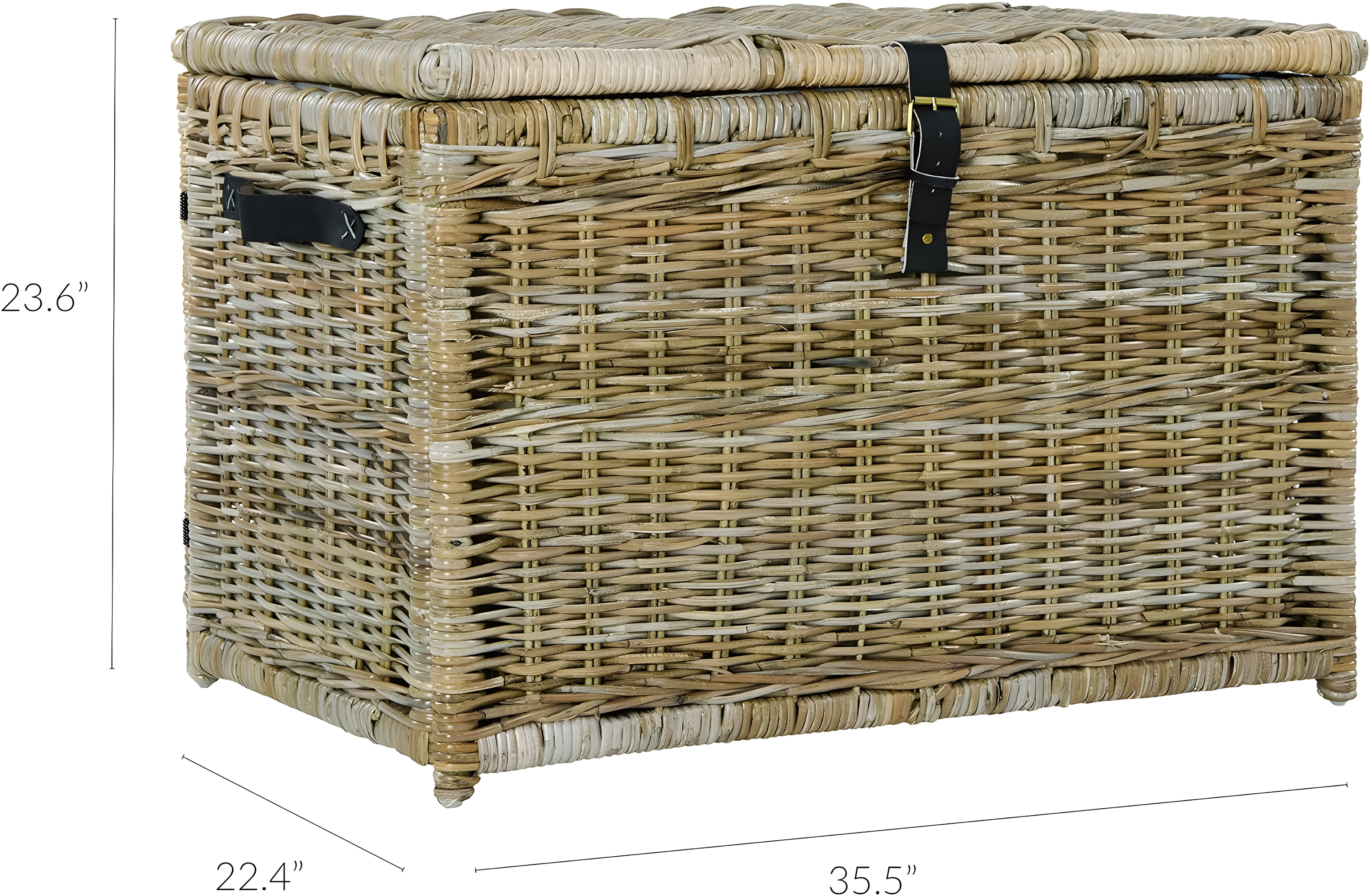 happimess Caden Wicker Trunk