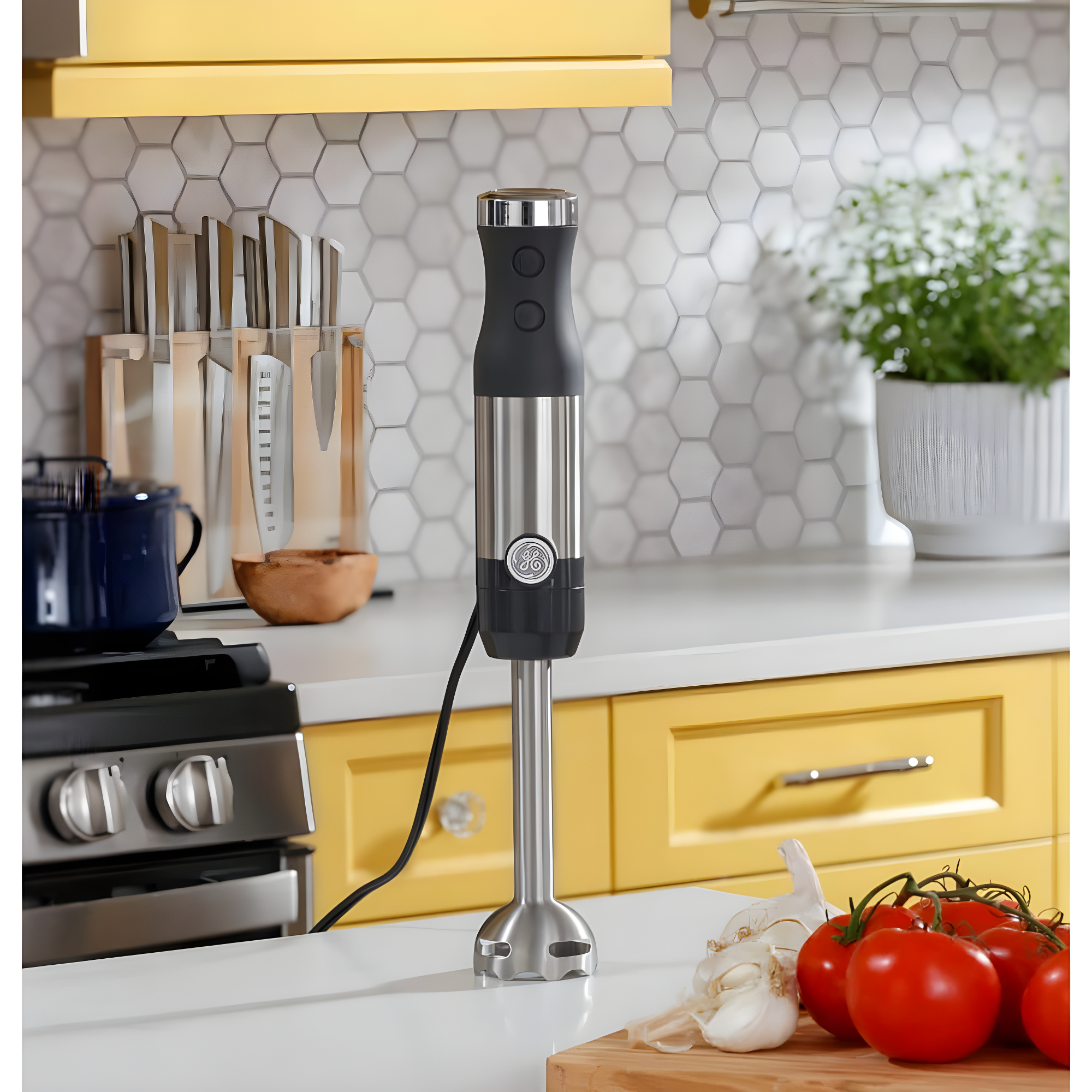GE Immersion Blender with Accessories