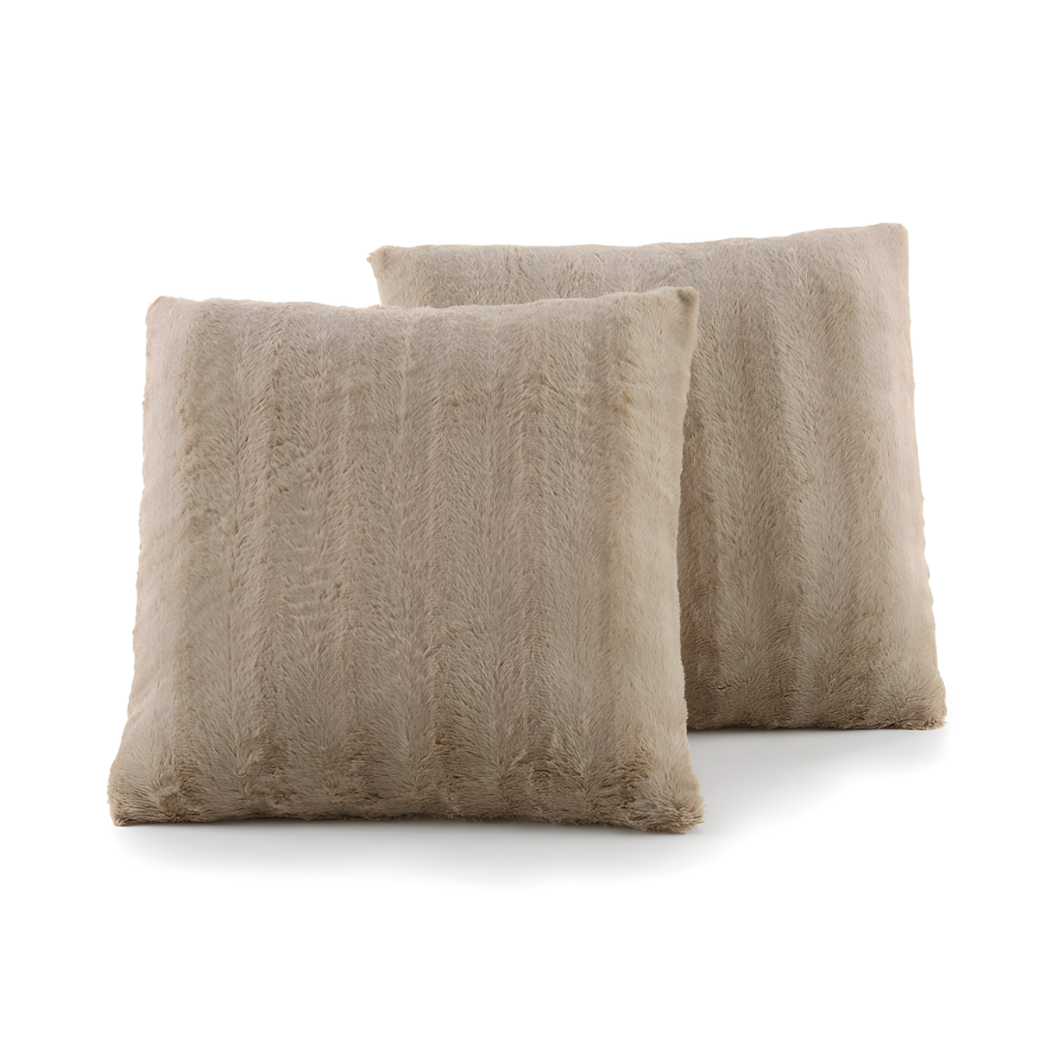 Cheer Collection FRBIN Square Pillow Cover & Insert (Set of 2)