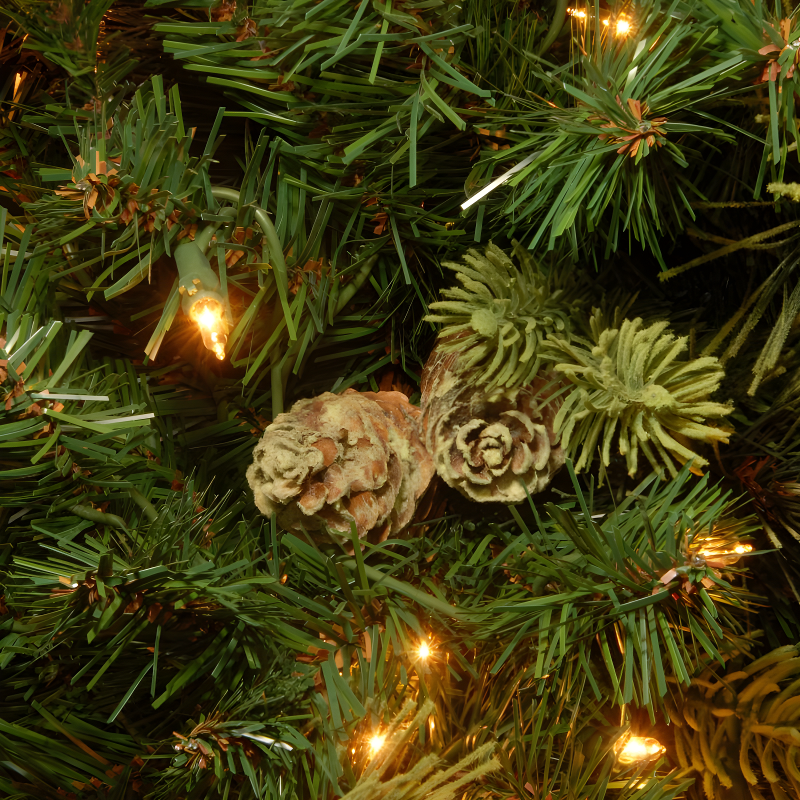 6.5' Prelit Carolina Pine Artificial Christmas Tree Clear Lights - National Tree Company