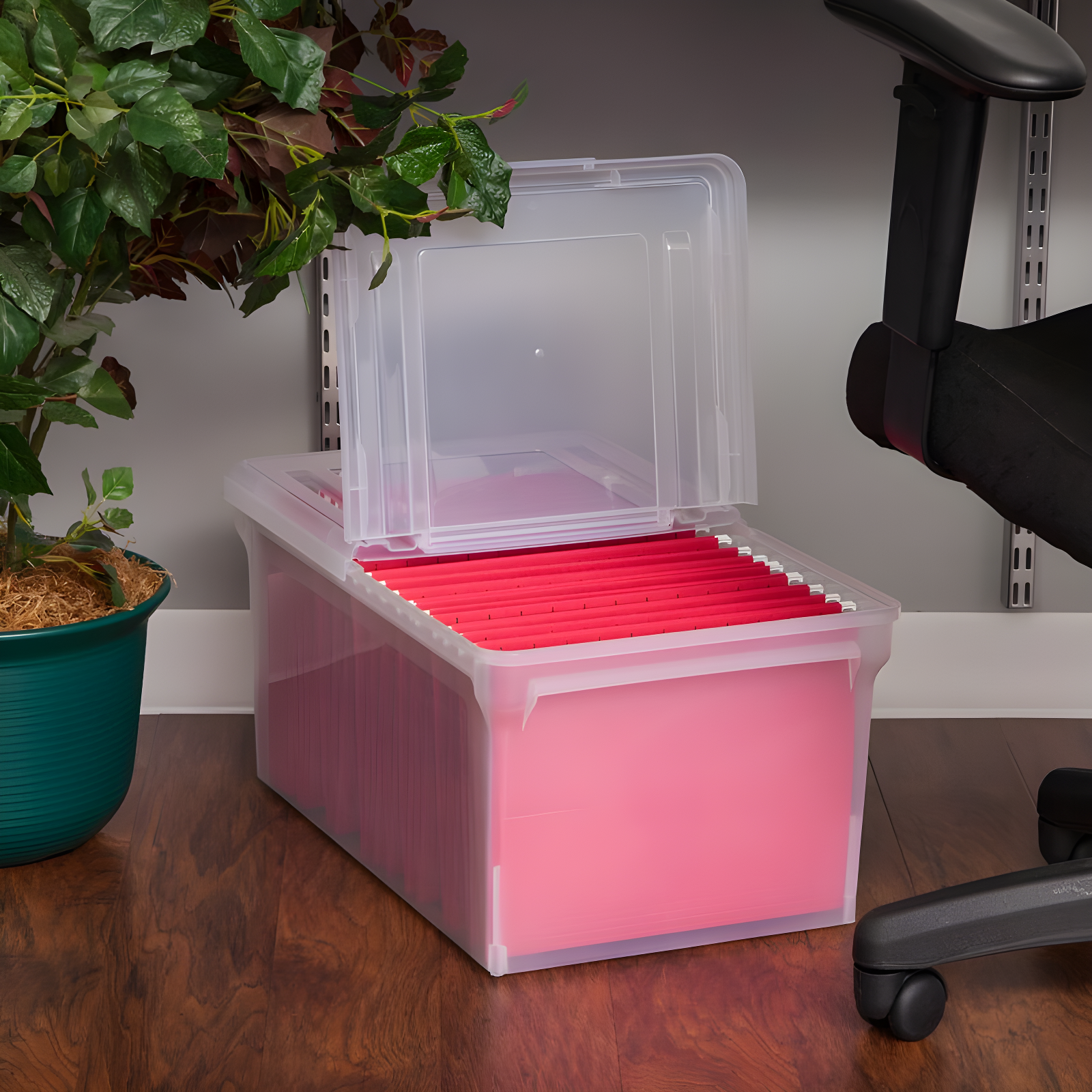 IRIS USA, Inc. File Box Storage