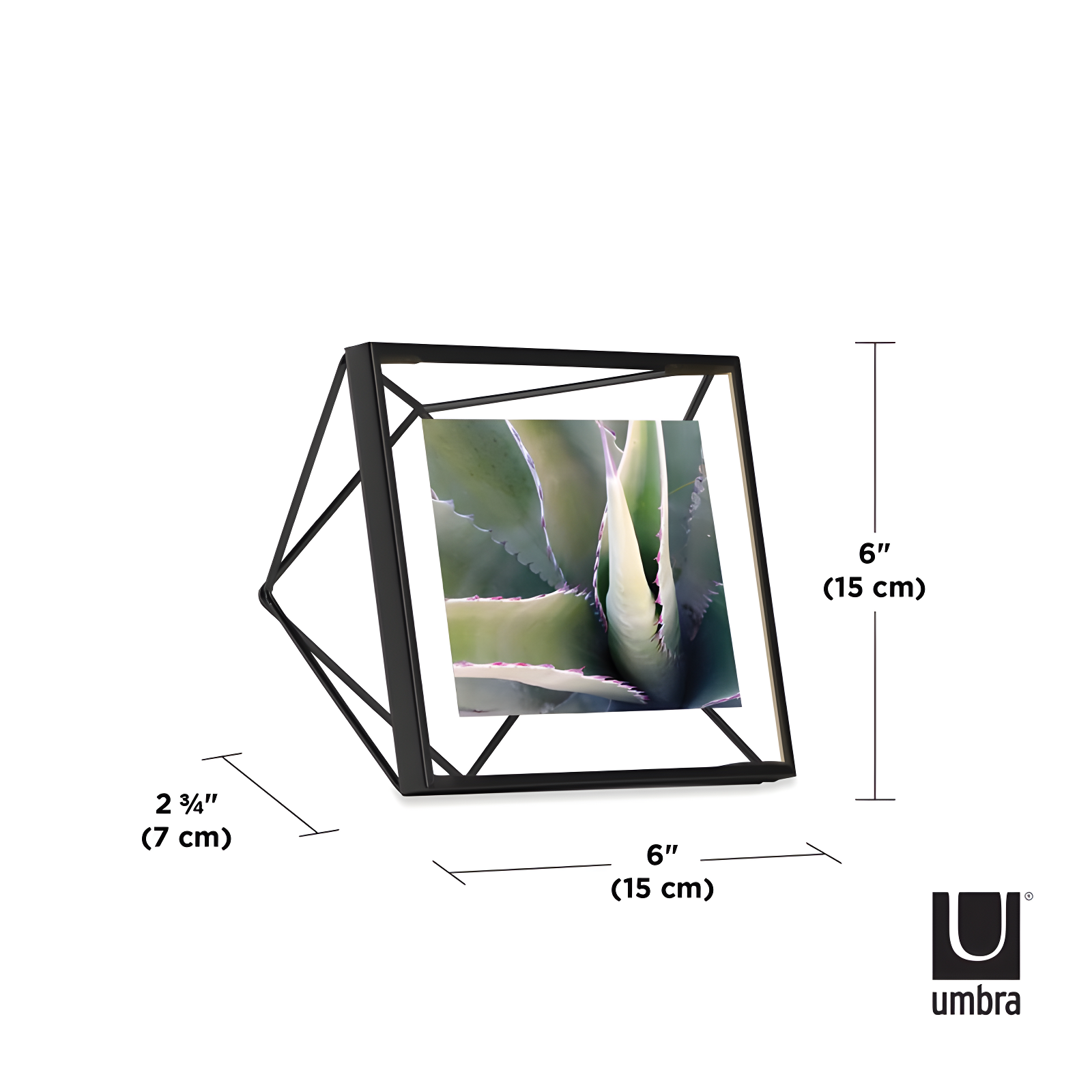 Umbra Prisma Metal Floater Picture Frame