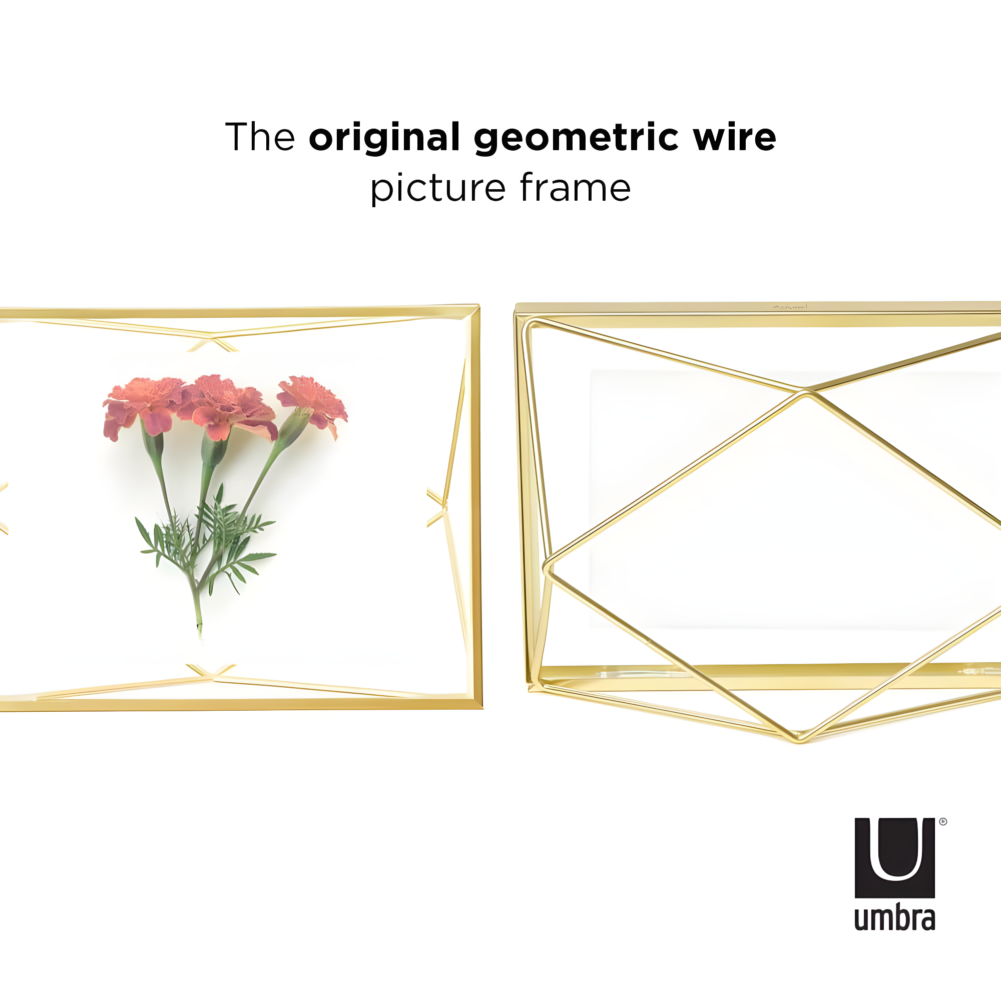 Umbra Prisma Metal Floater Picture Frame