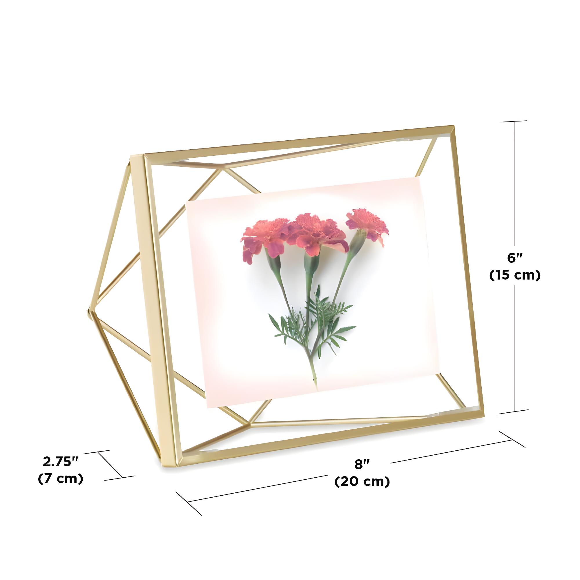 Umbra Prisma Metal Floater Picture Frame