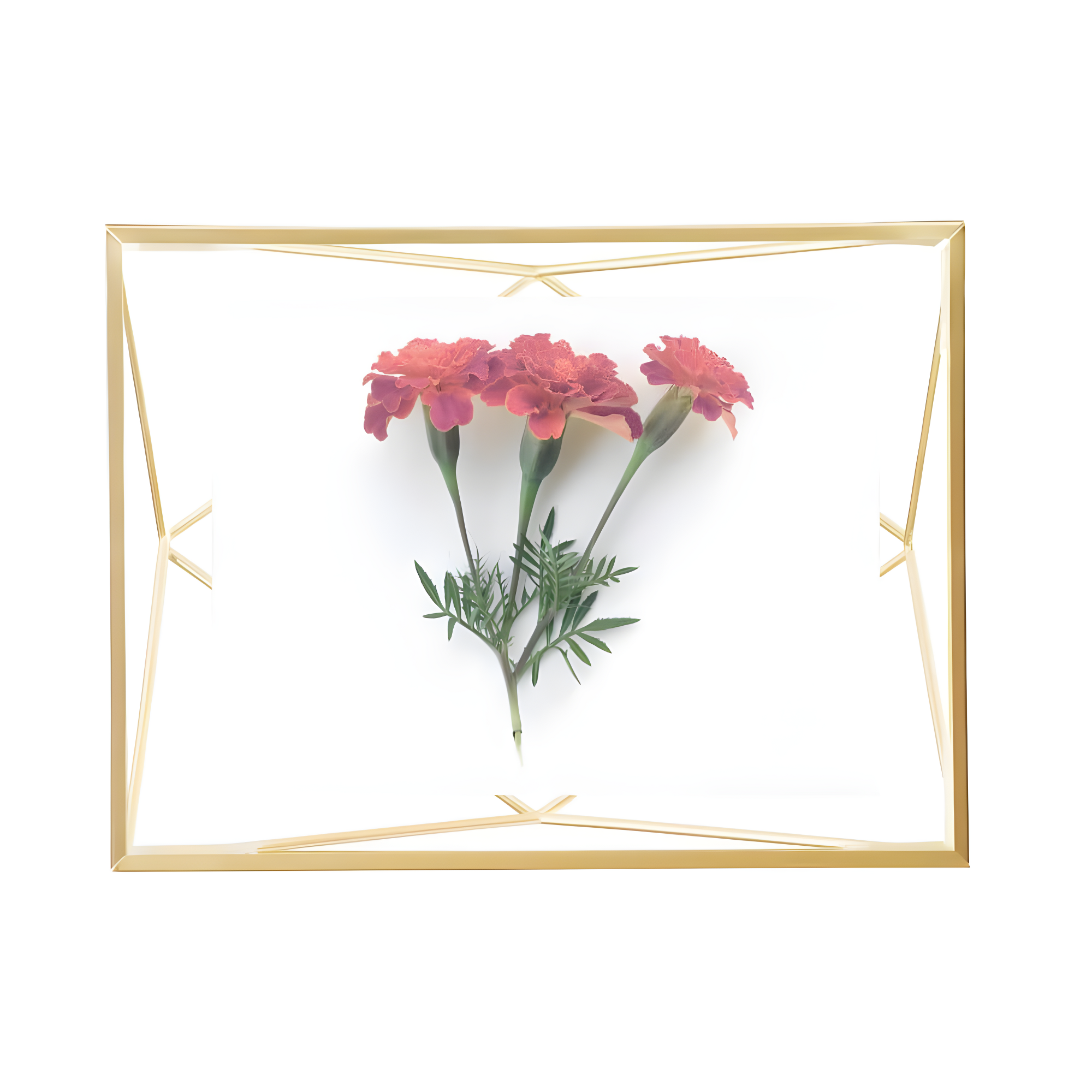 Umbra Prisma Metal Floater Picture Frame