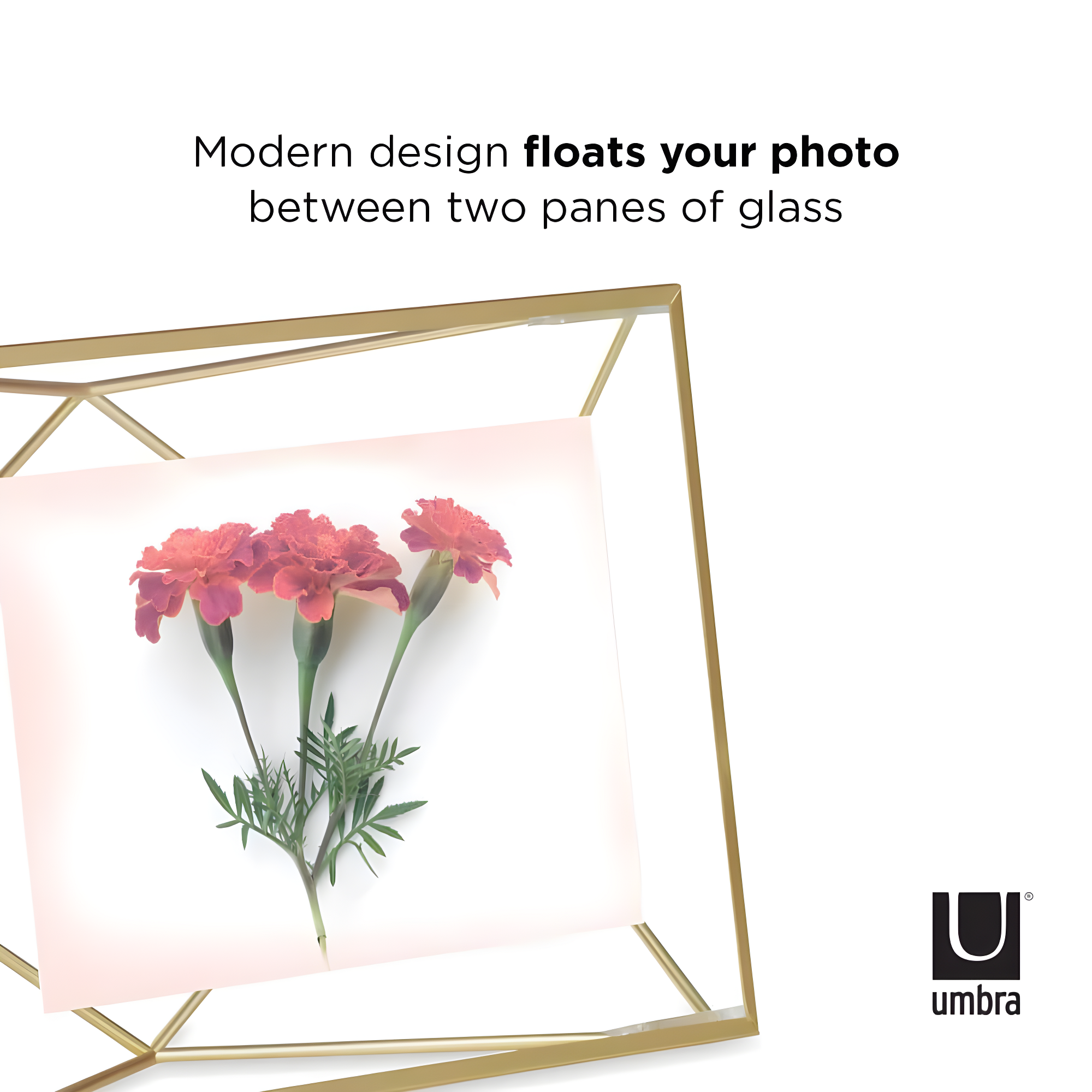 Umbra Prisma Metal Floater Picture Frame