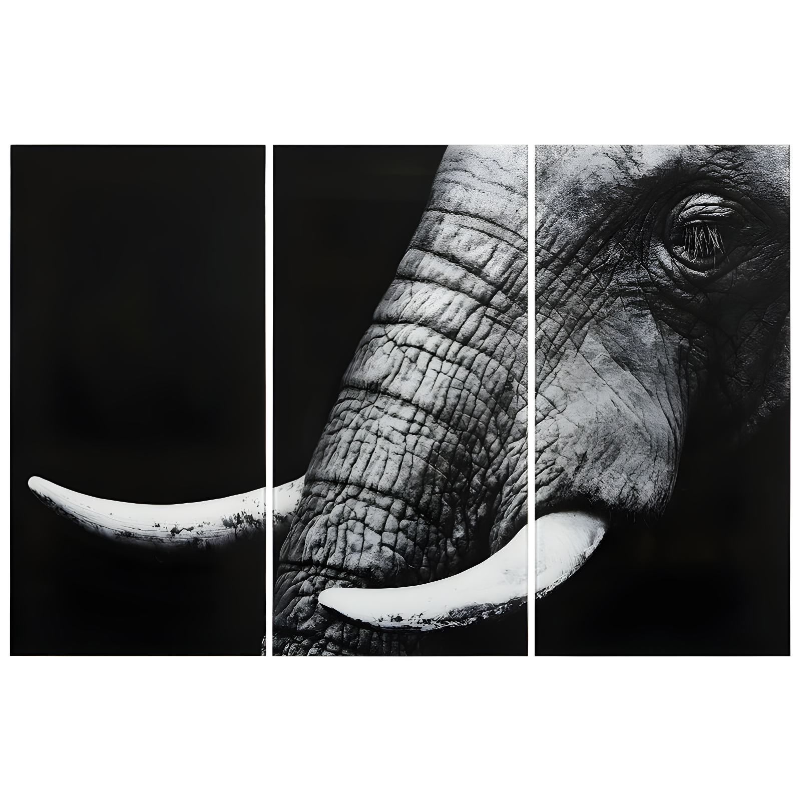 Empire Art Direct " Elephant ABC " 3 - Pieces Painting Print