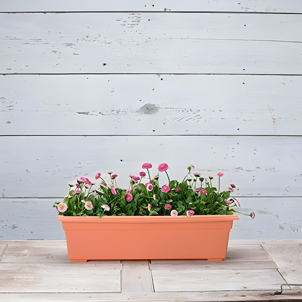 Root & Vessel Countryside Flower Box, Terra, 24"