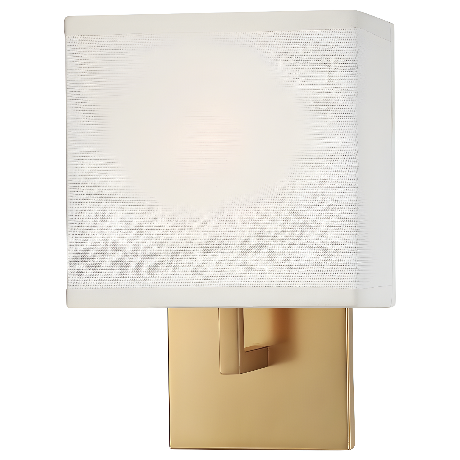 Ivy Bronx Ifrane Steel Armed Sconce