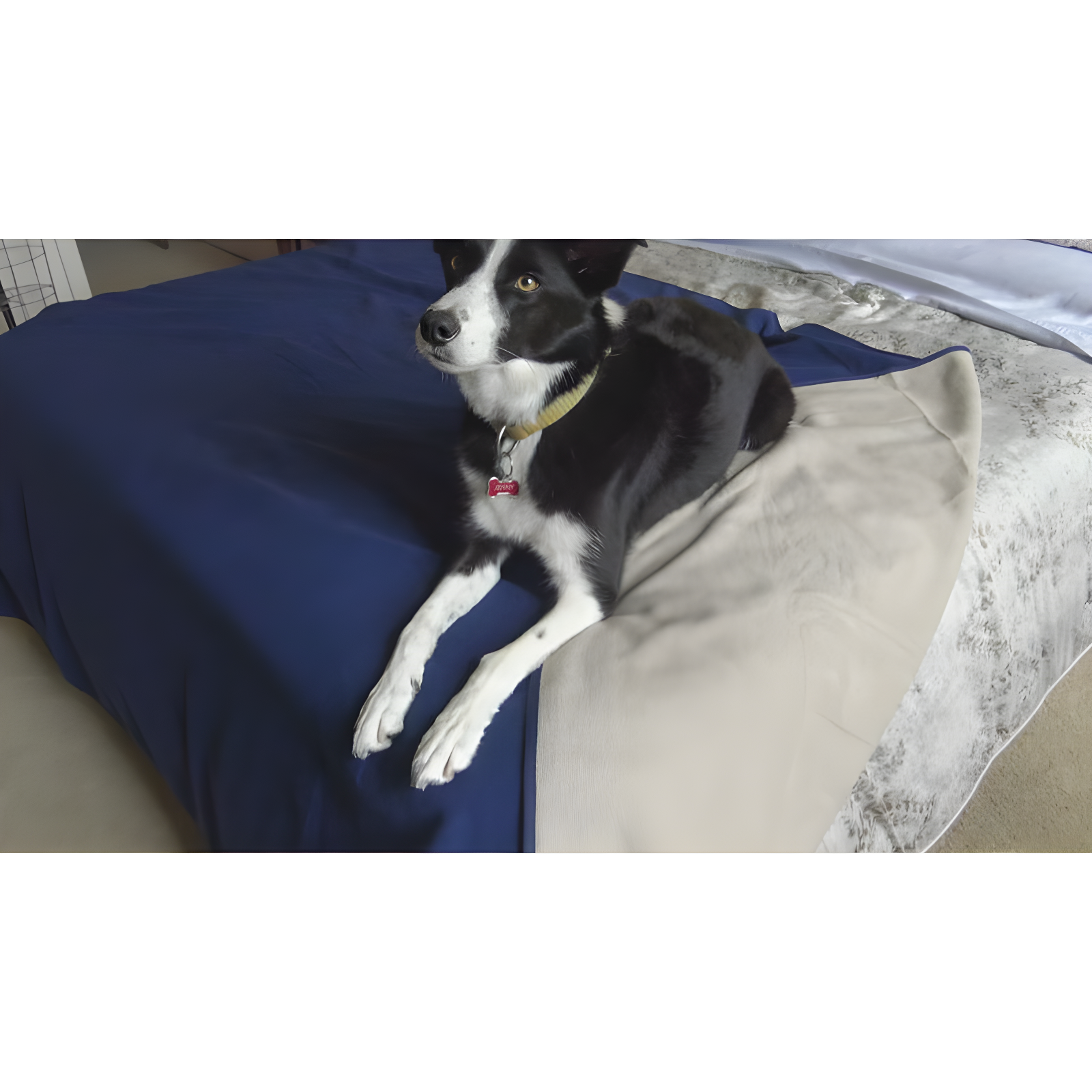 Catalonia Fleece Reversible Blanket