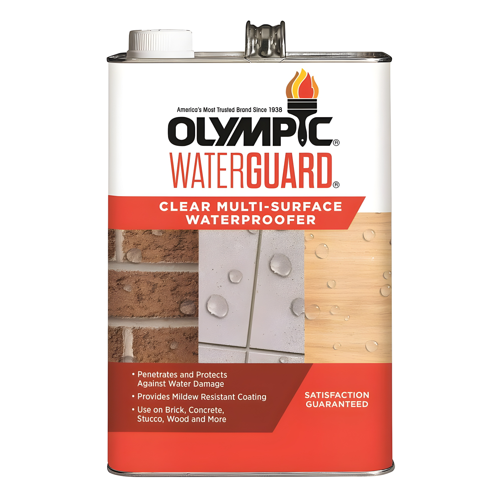 Olympic Waterguard 1 Gallon Clear Multi-Surface Waterproofing Sealer