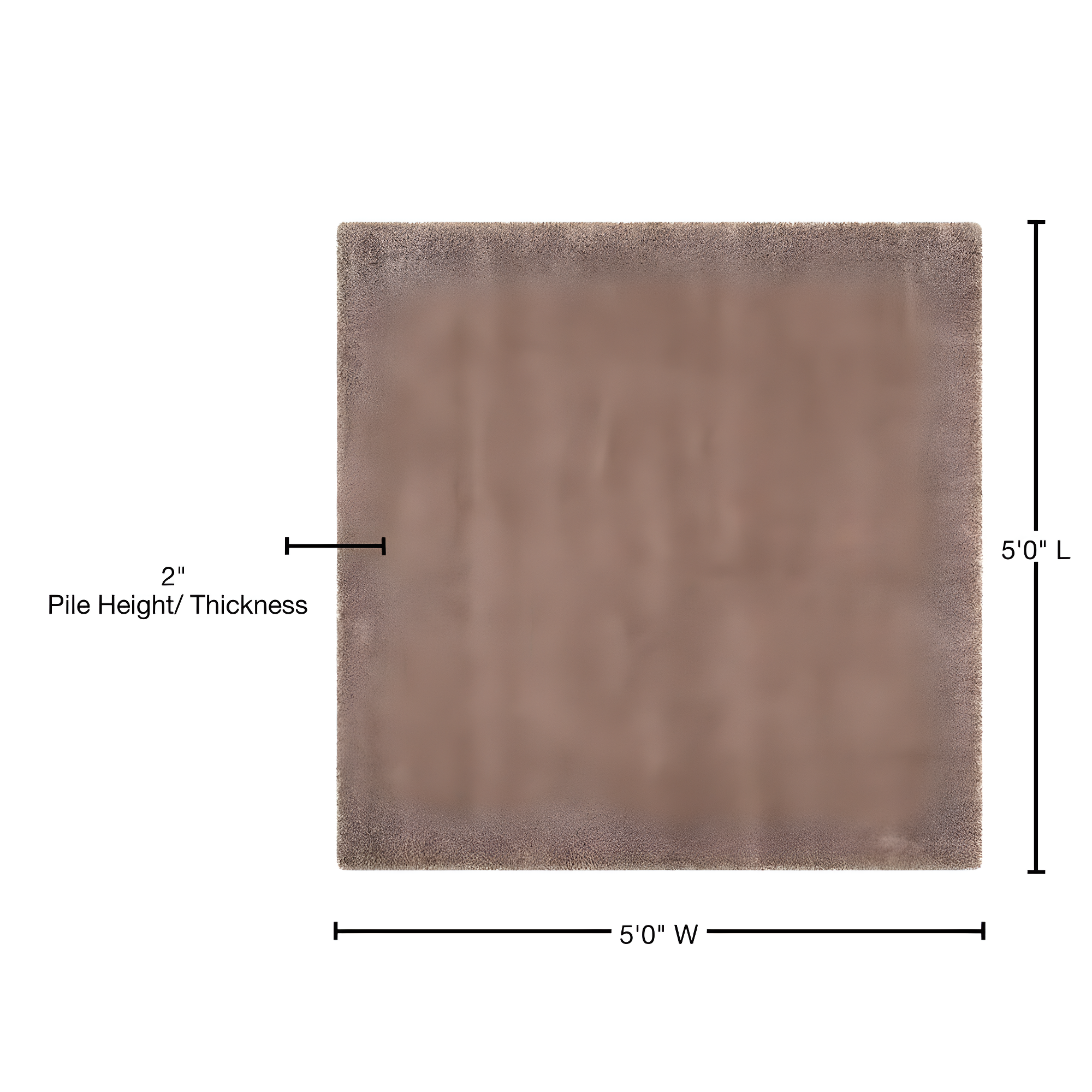 SAFAVIEH California Solid Plush Shag Area Rug, Taupe, 5'3" x 5'3" Square