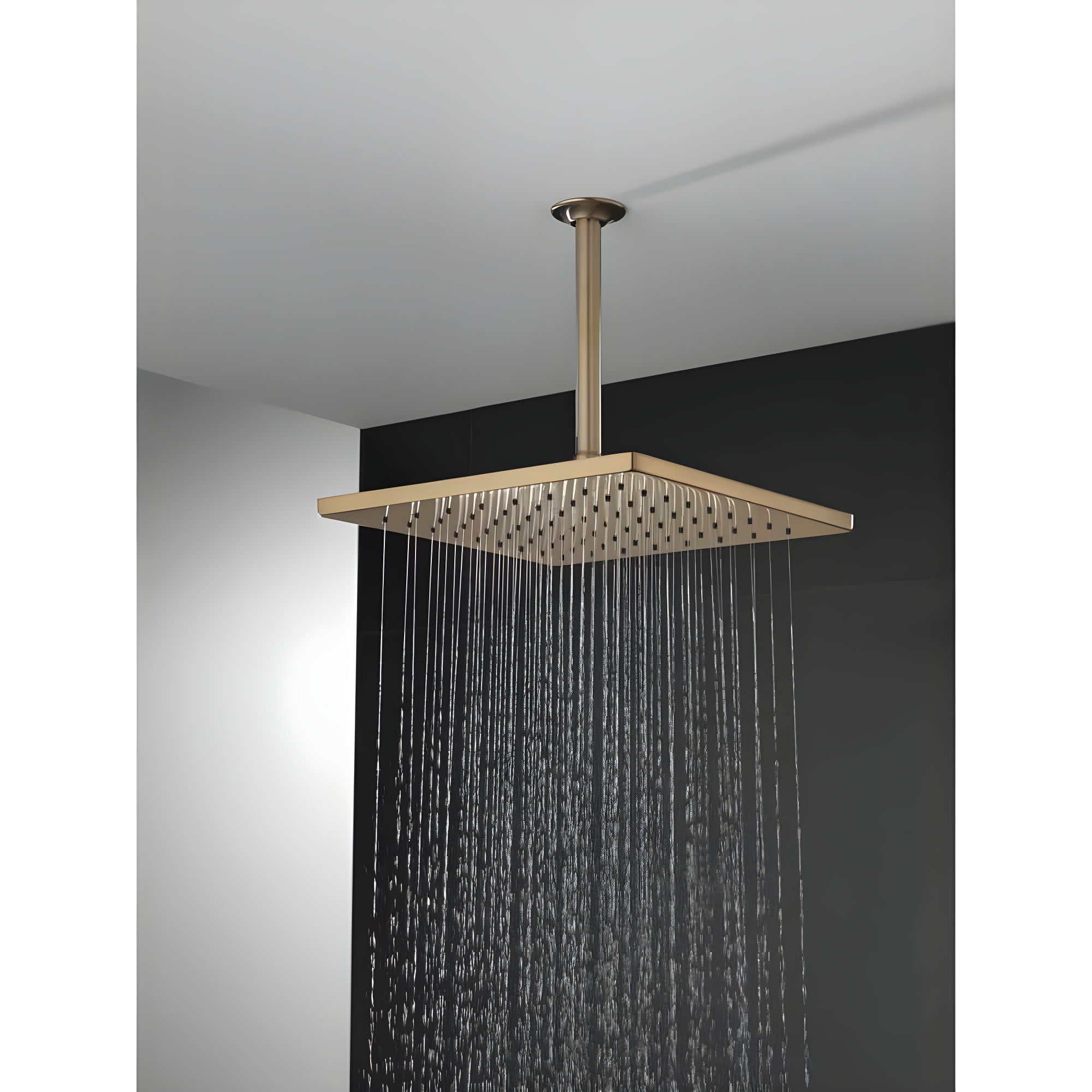 Delta Rain Adjustable Shower Head