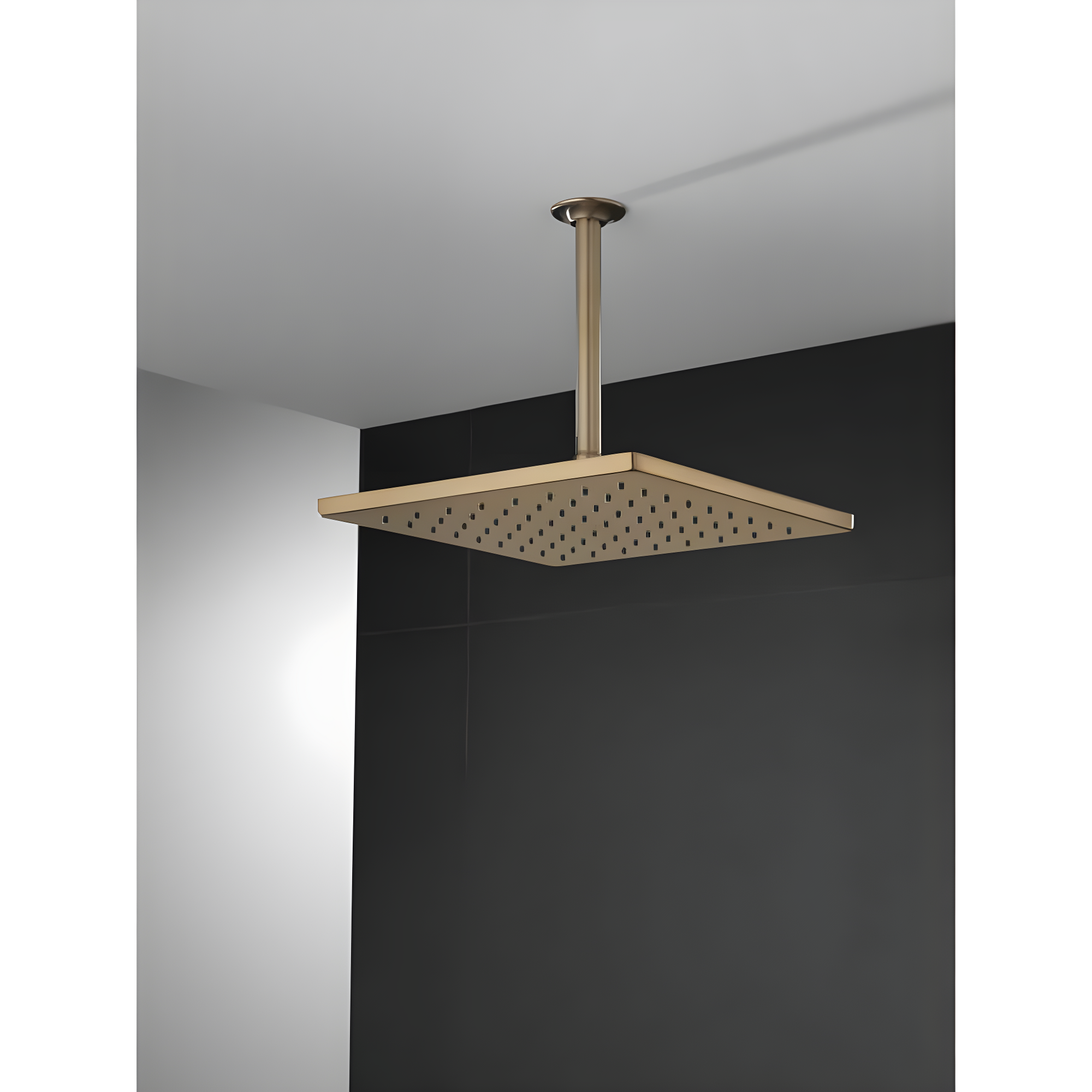 Delta Rain Adjustable Shower Head