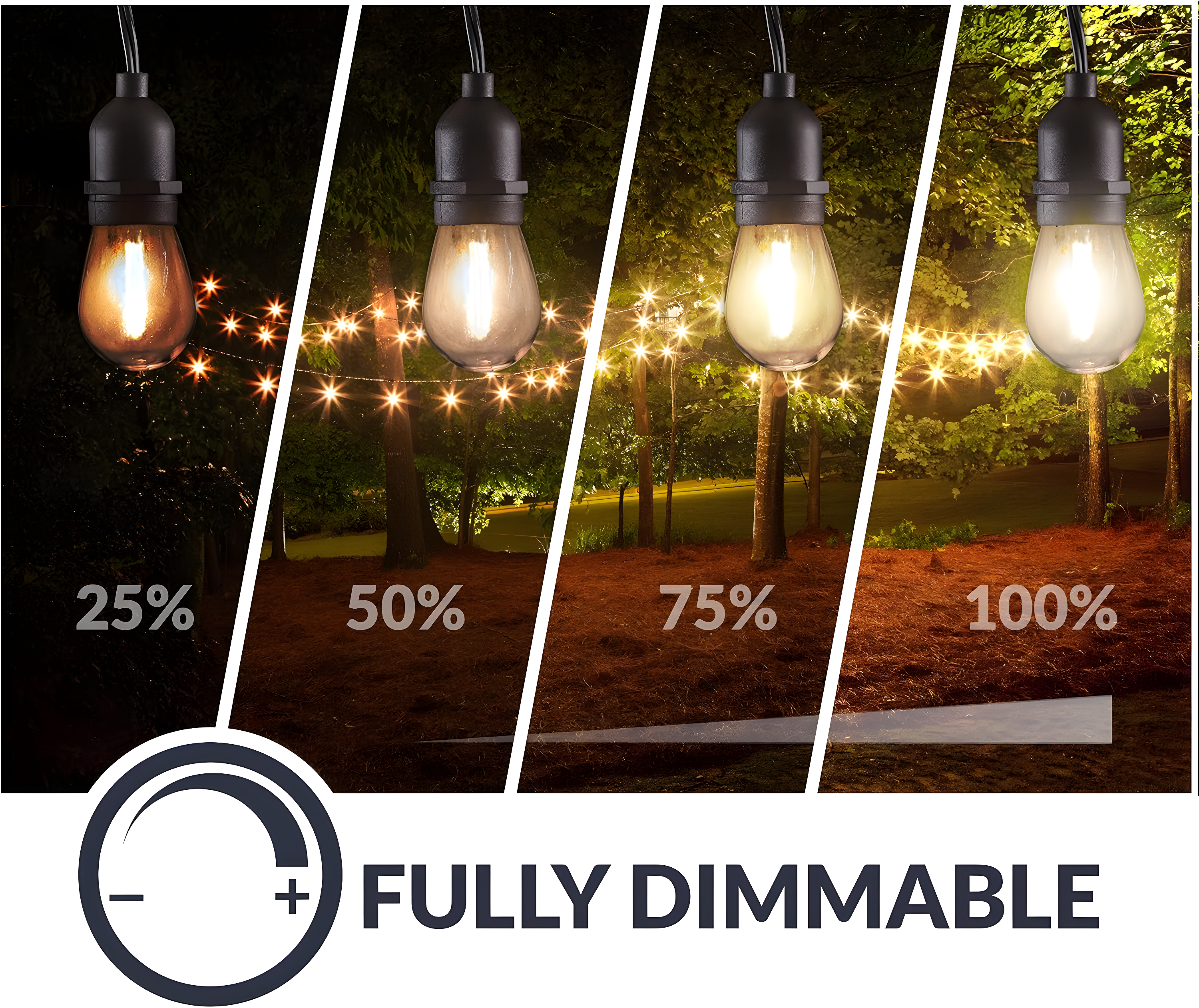 Newhouse Lighting LED String Lights with Weatherproof Technology, Dimmable with Wireless Remote Control, 48ft and 16 (15+1 free) LED Light Bulbs Included, Black (CSTRINGLEDDIM)