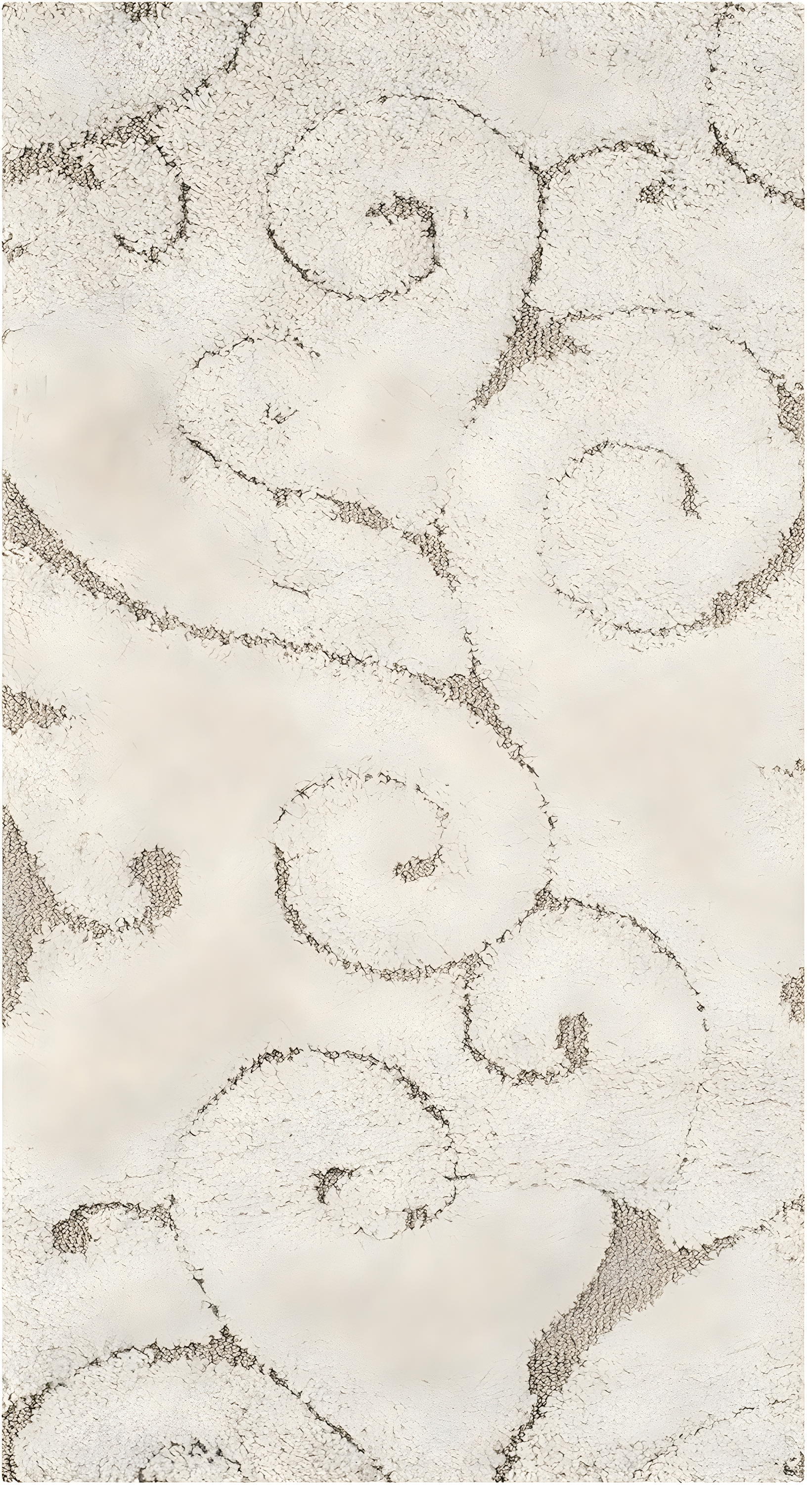 Florida Shag SG455 Power Loomed Indoor Accent Rug - Cream/Beige - 2'3"x4' - Safavieh.