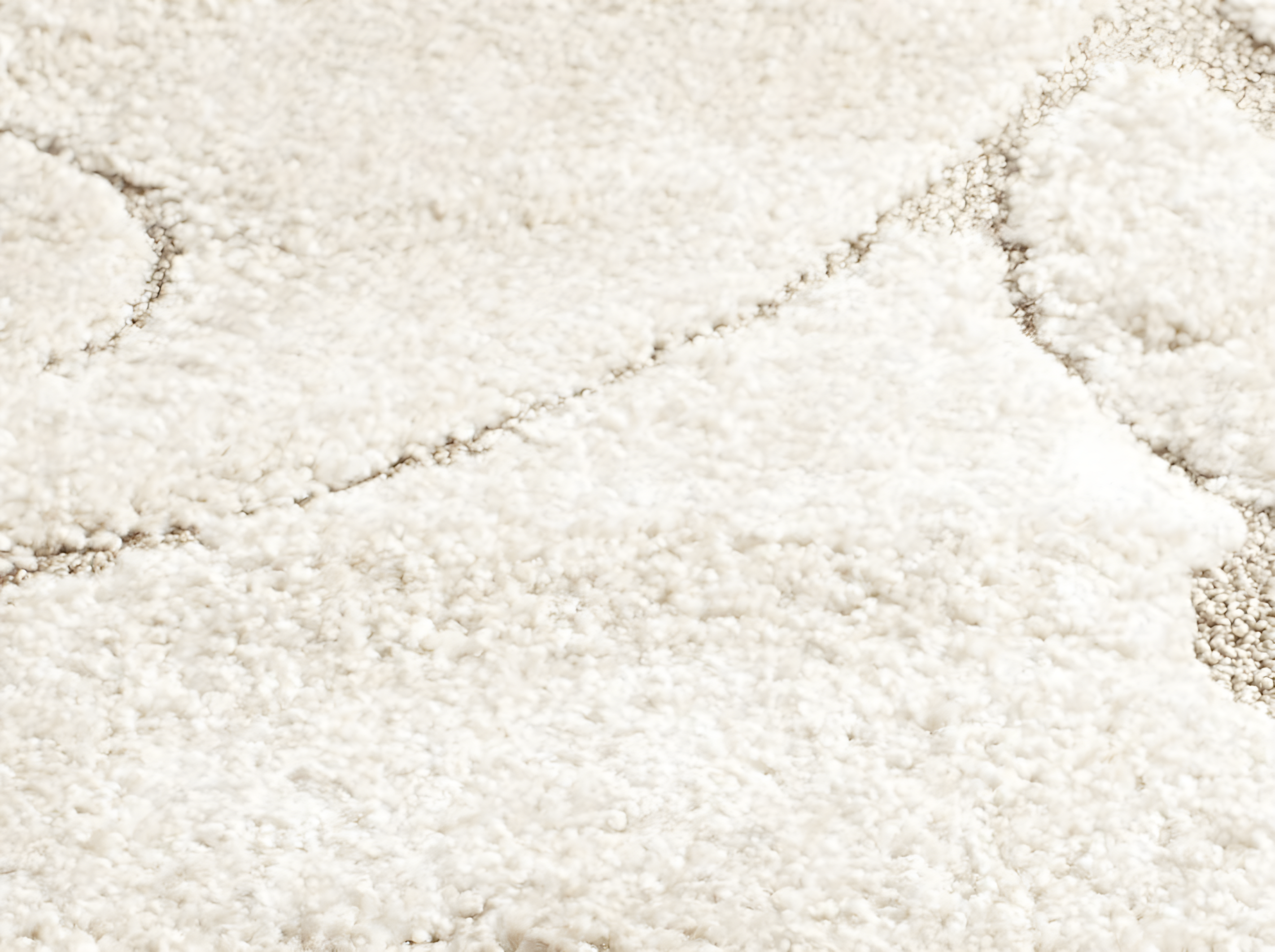 Florida Shag SG455 Power Loomed Indoor Accent Rug - Cream/Beige - 2'3"x4' - Safavieh.