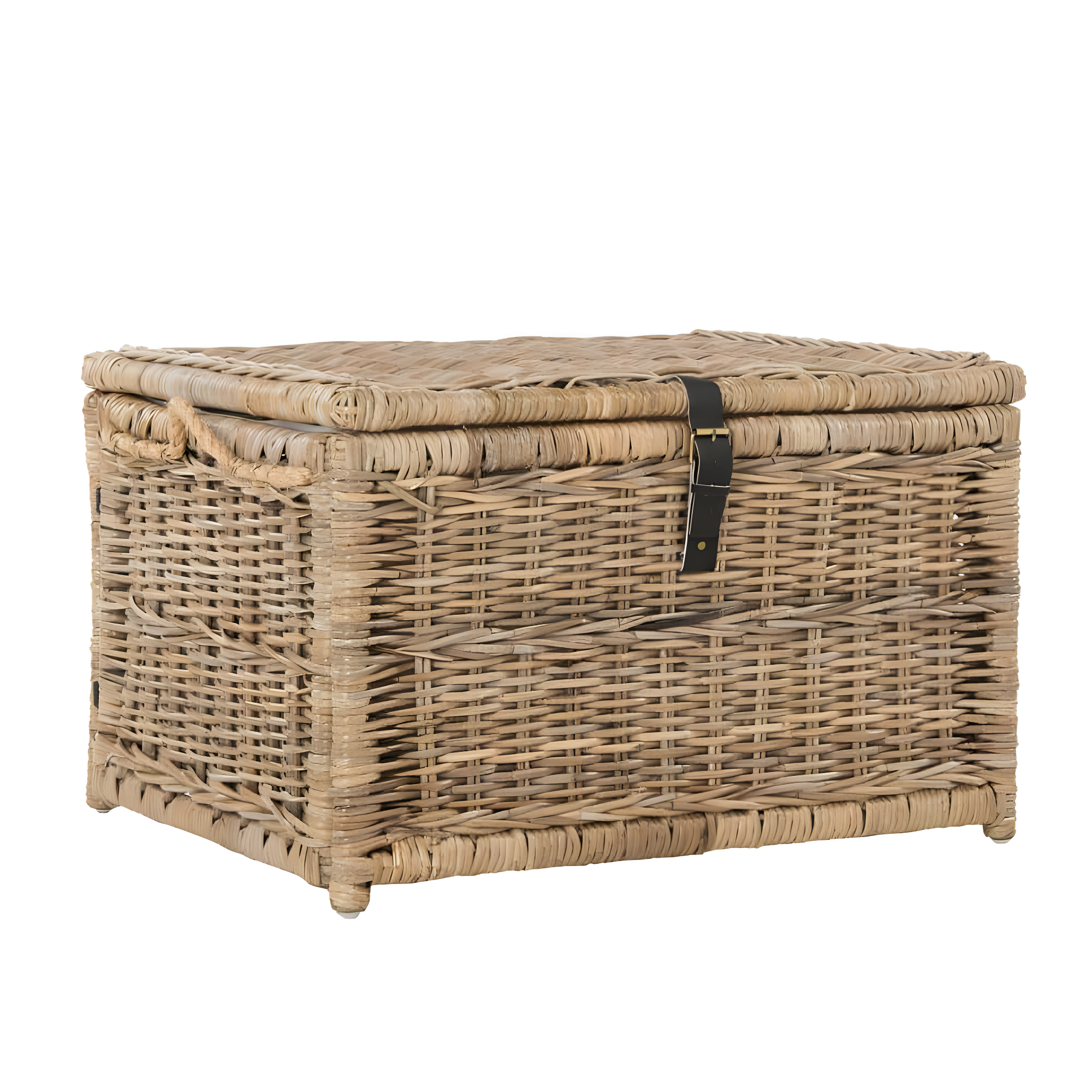 happimess Caden 30" Wicker Storage Trunk, Natural