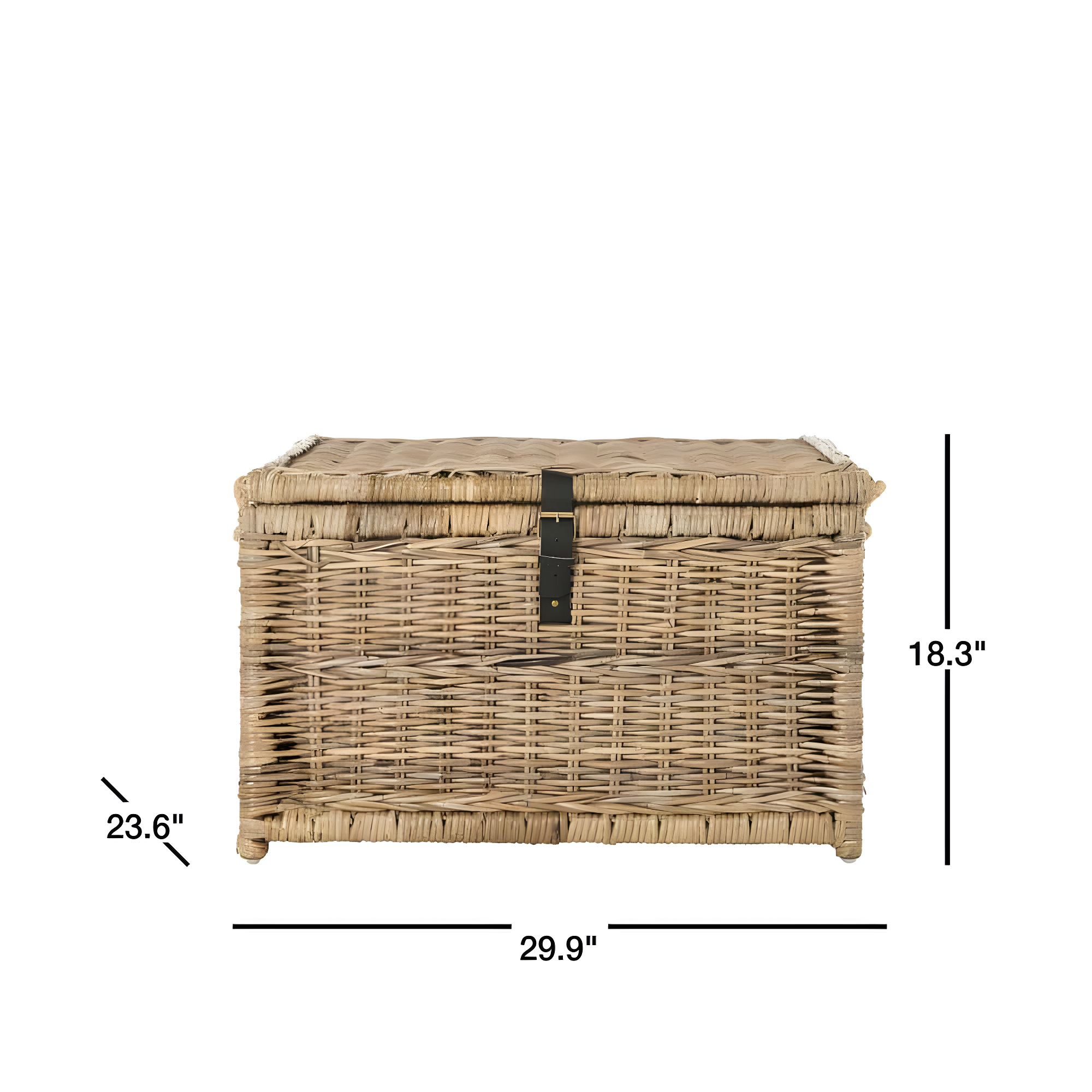 happimess Caden 30" Wicker Storage Trunk, Natural