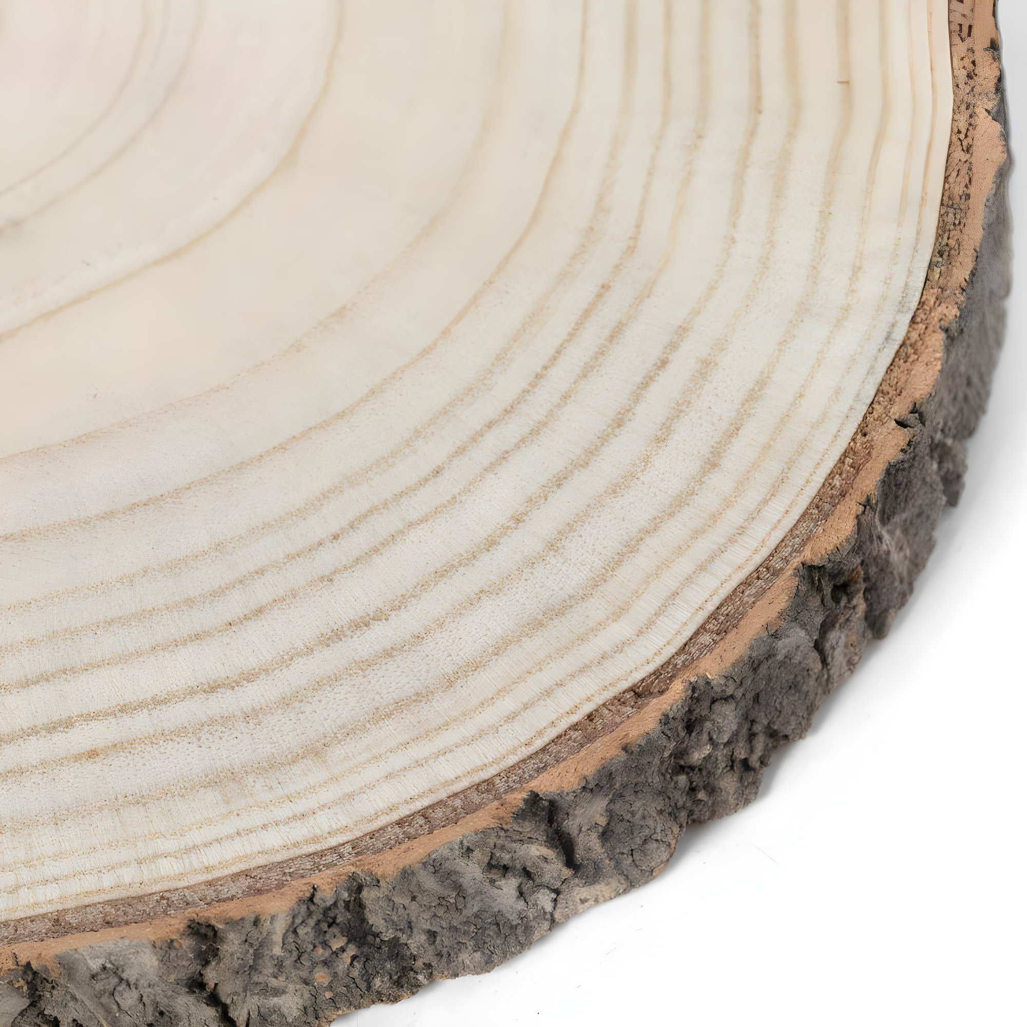 Vintiquewise Barky Natural Wood Slabs Rustic Ornament Slice Tray Table Charger -Approximately  12 Inch Dia