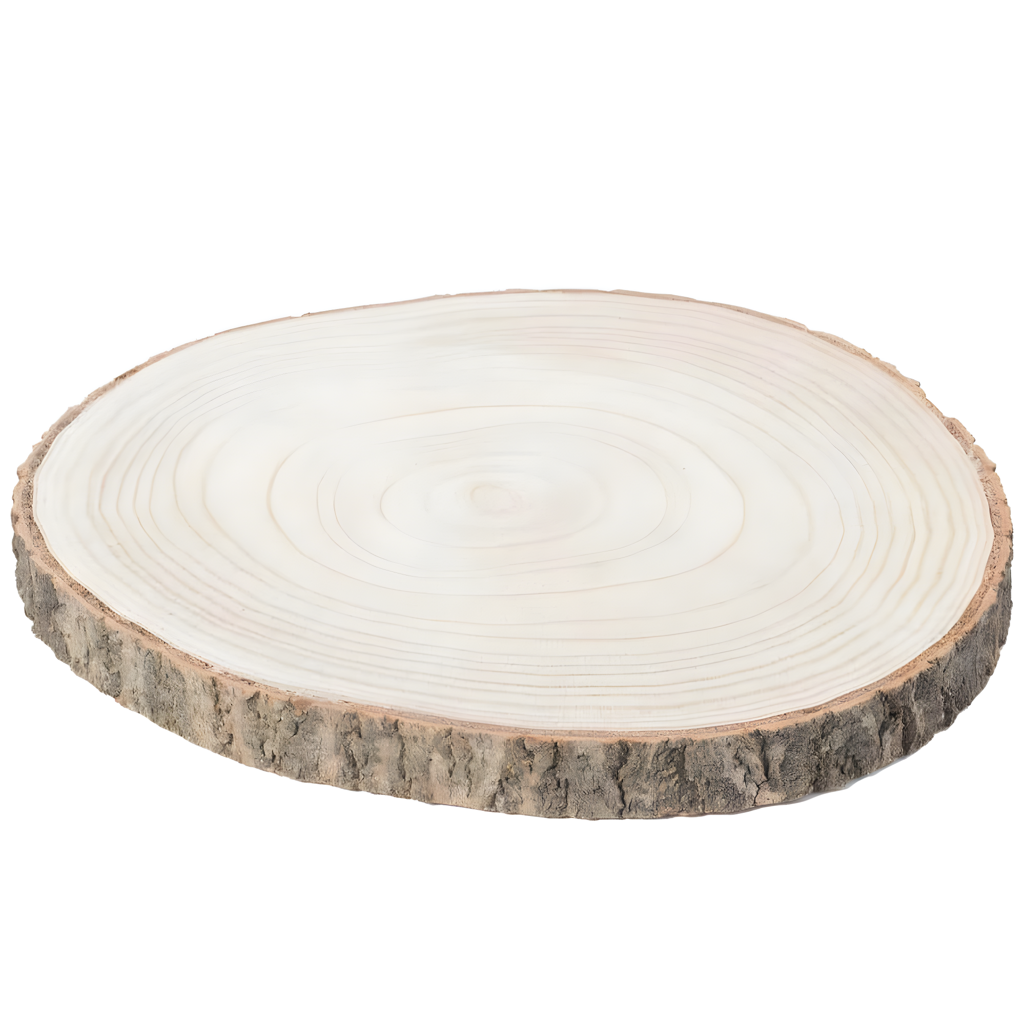 Vintiquewise Barky Natural Wood Slabs Rustic Ornament Slice Tray Table Charger -Approximately  12 Inch Dia