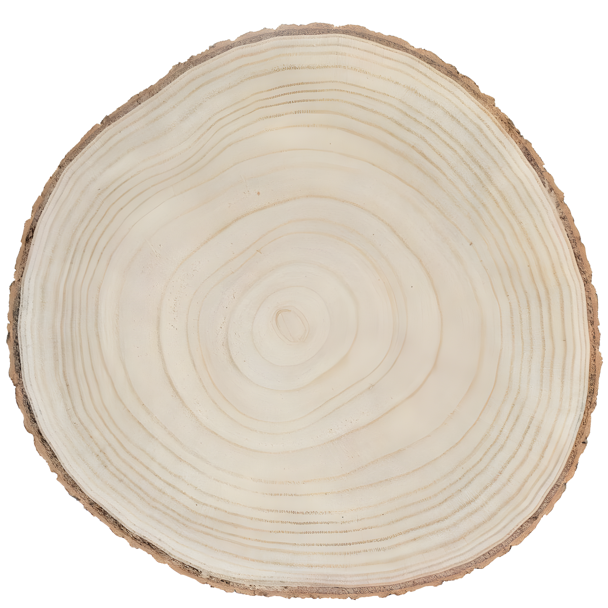 Vintiquewise Barky Natural Wood Slabs Rustic Ornament Slice Tray Table Charger -Approximately  12 Inch Dia