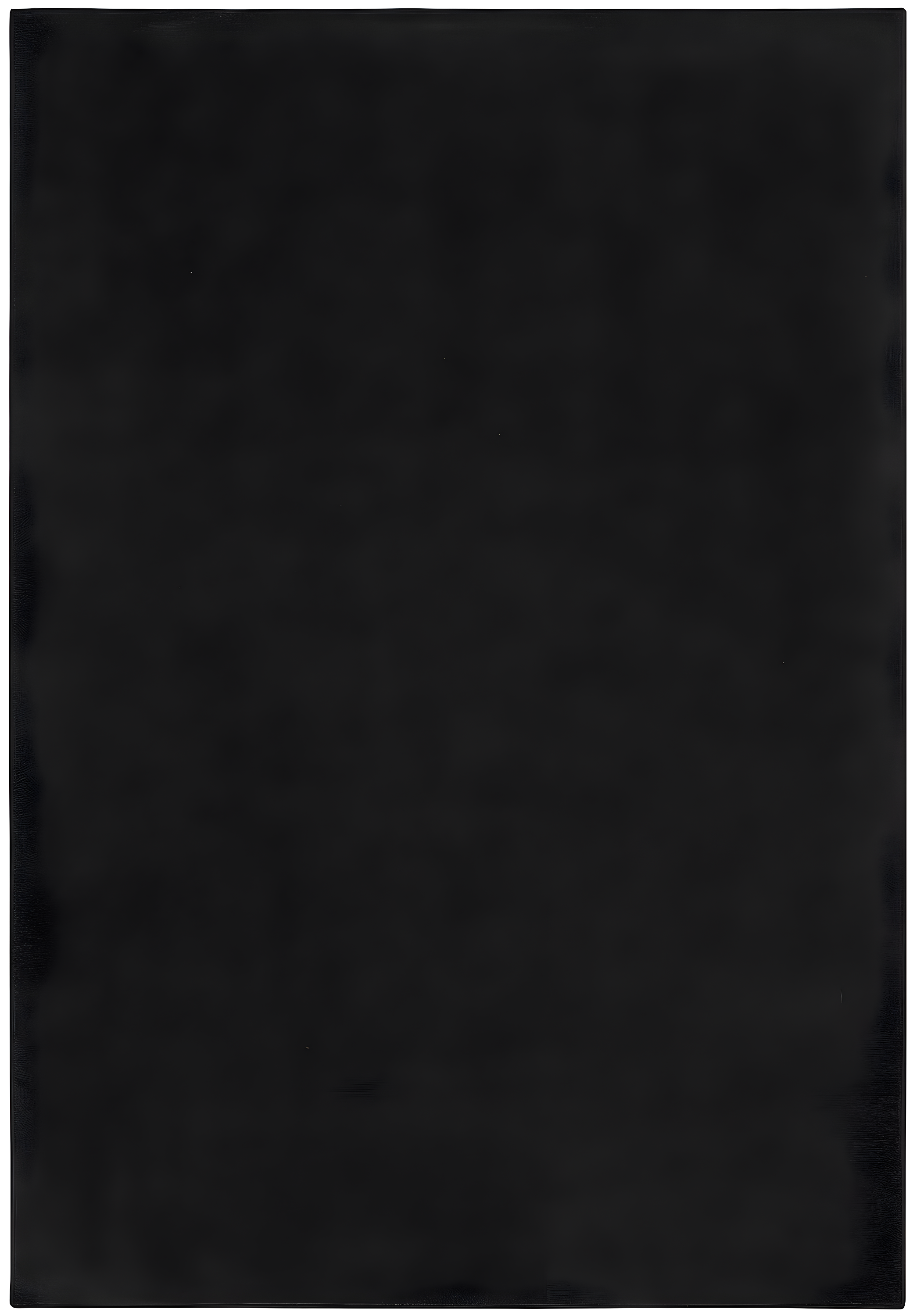 Nourison Essentials Easy Care Indoor Outdoor Area Rug - Black 5' x 7'