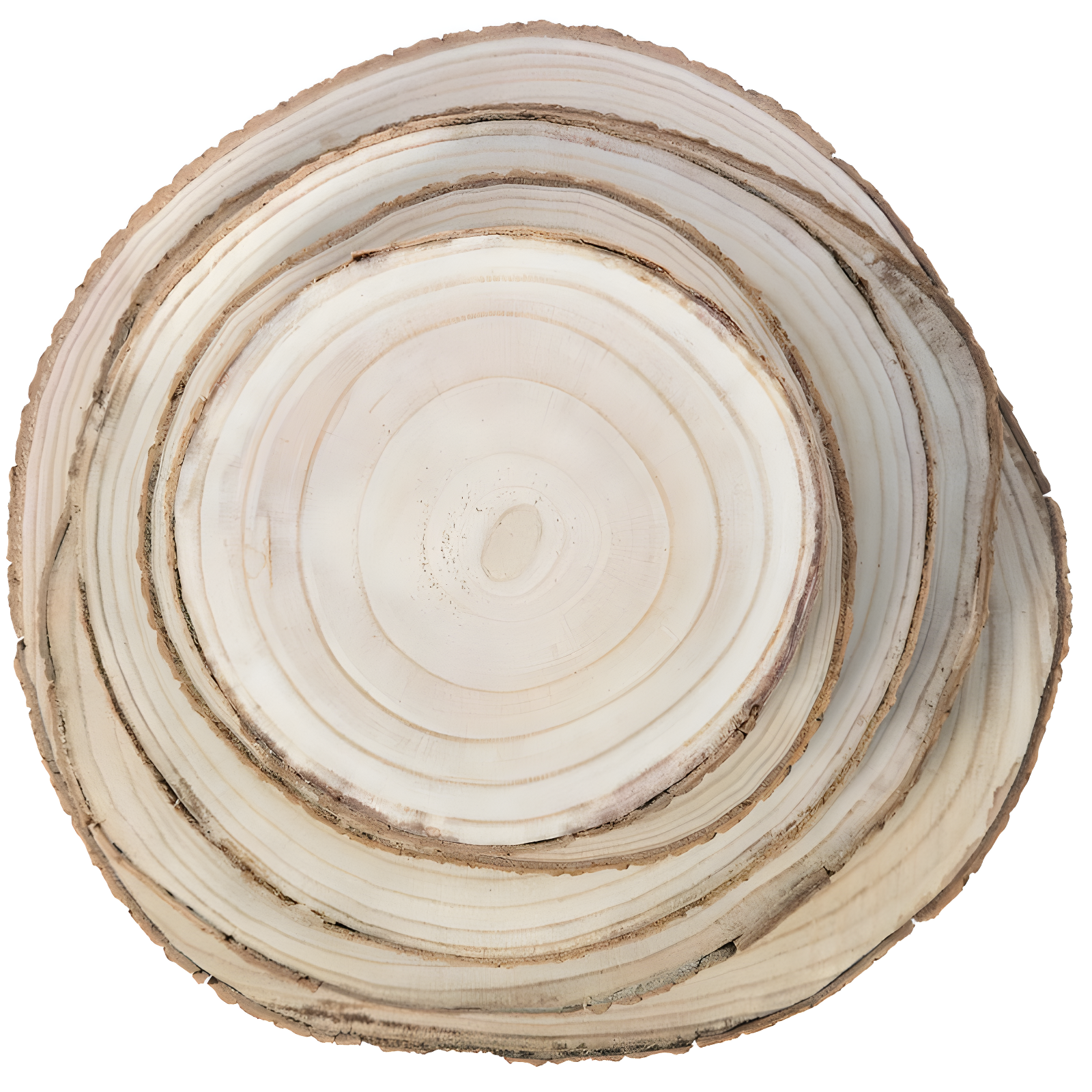 Vintiquewise Barky Natural Wood Slabs Rustic Ornament Slice Tray Table Charger - Set of 5