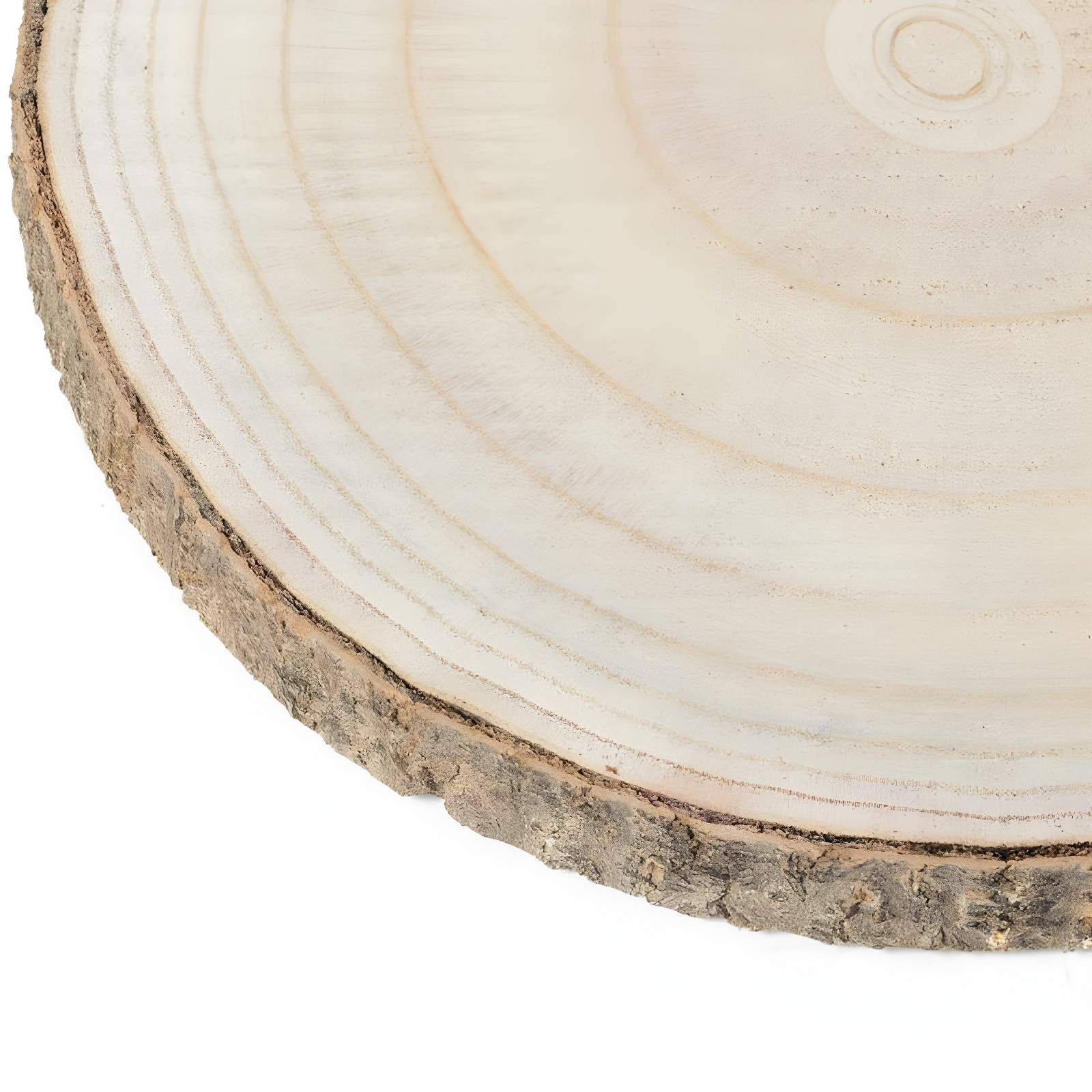 Vintiquewise Barky Natural Wood Slabs Rustic Ornament Slice Tray Table Charger - Set of 5