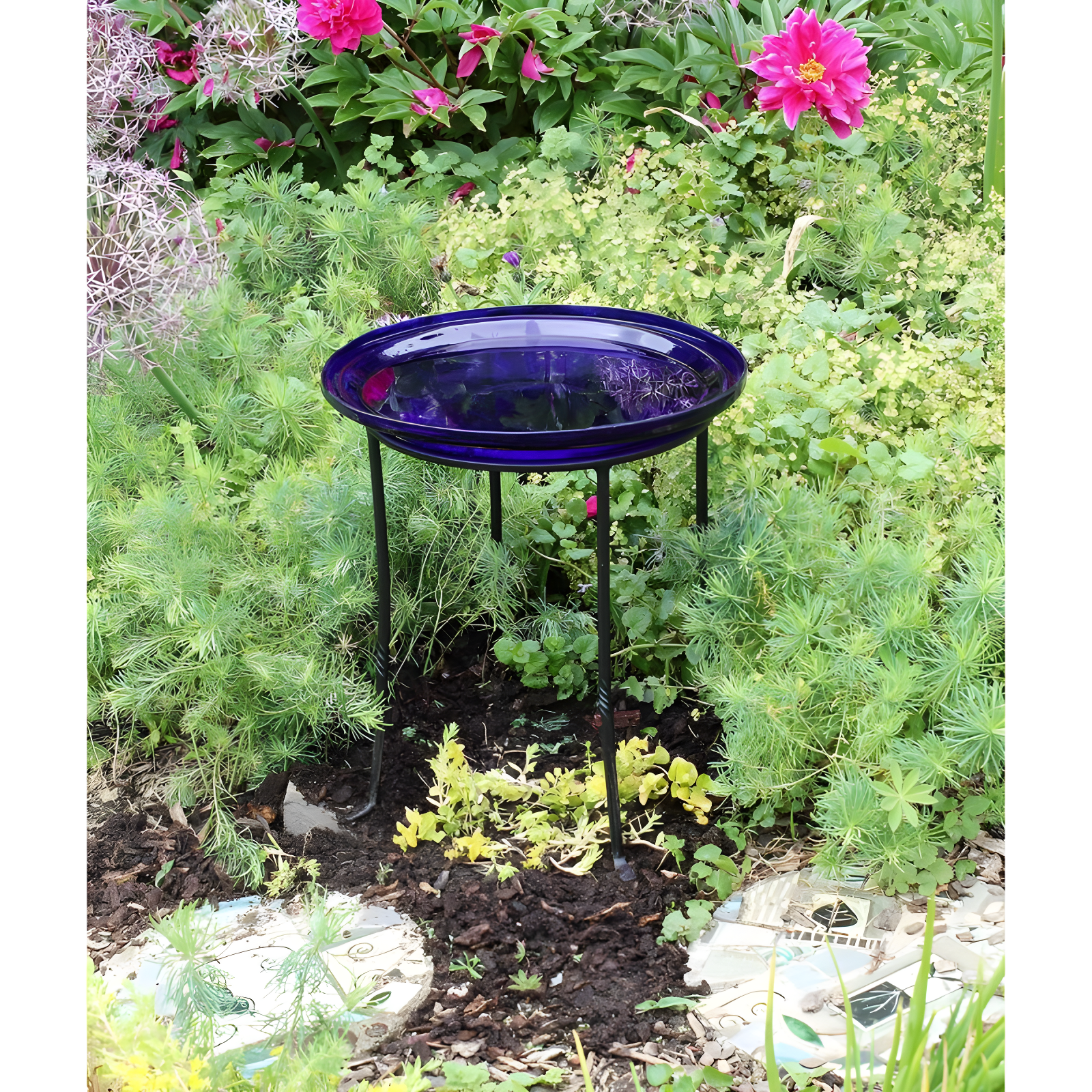 Winston Porter Drumnasole Iron Pedestal Birdbath