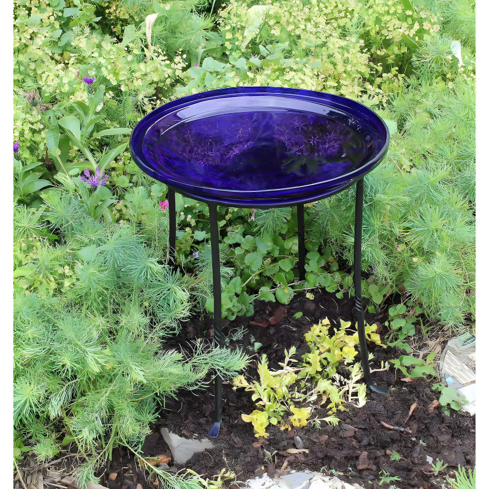 Winston Porter Drumnasole Iron Pedestal Birdbath