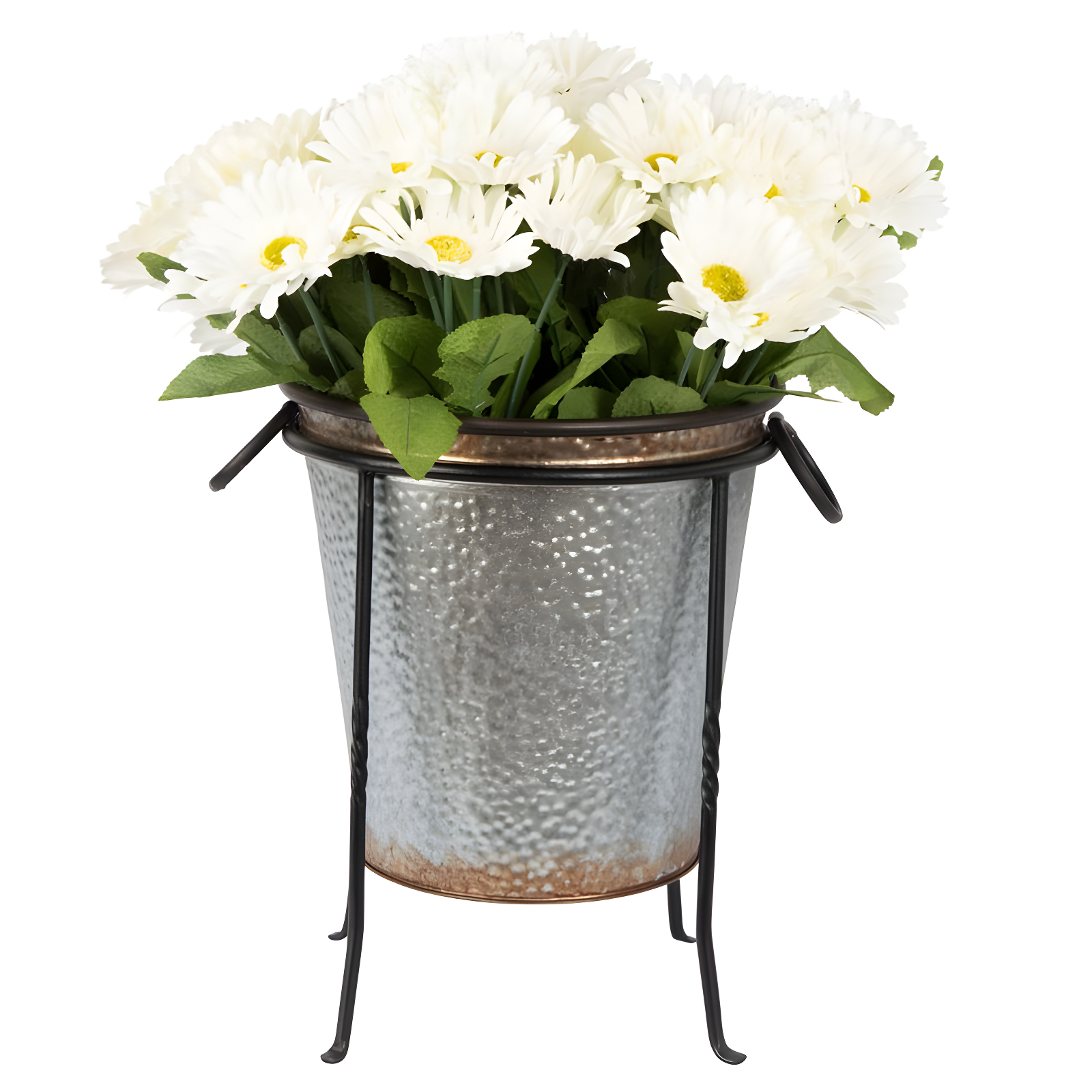 Winston Porter Drumnasole Iron Pedestal Birdbath