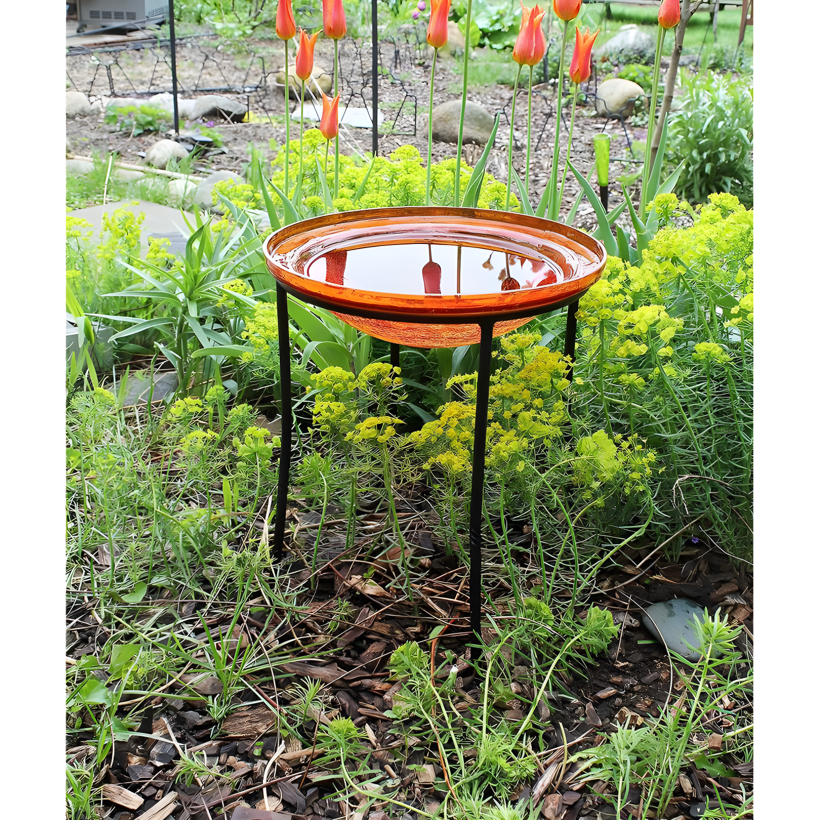 Winston Porter Drumnasole Iron Pedestal Birdbath
