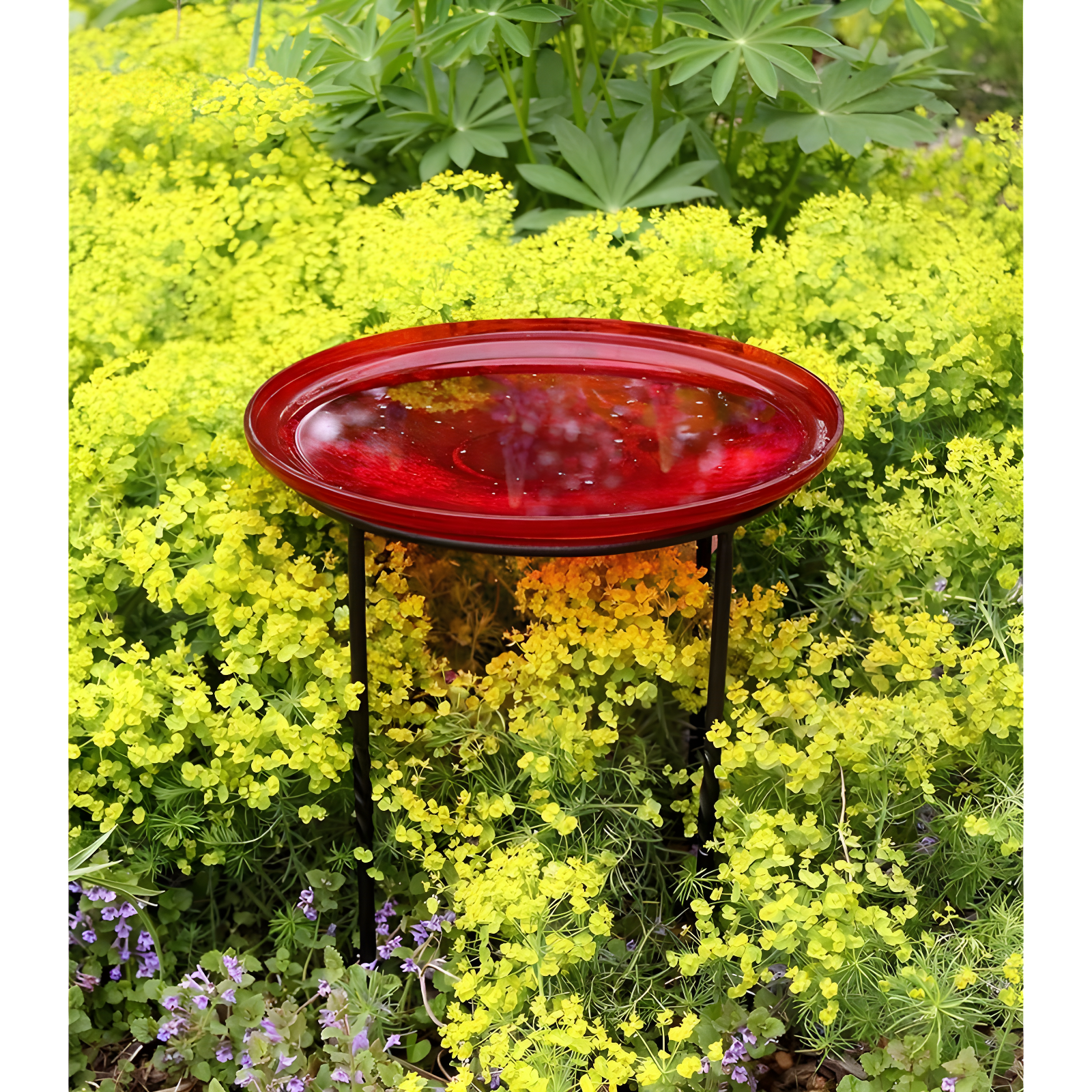Winston Porter Drumnasole Iron Pedestal Birdbath