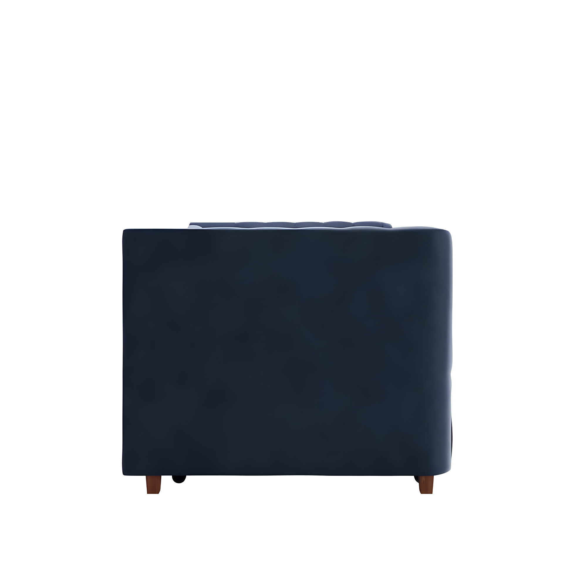 Valentina Twin Upholstered Daybed with Trundle