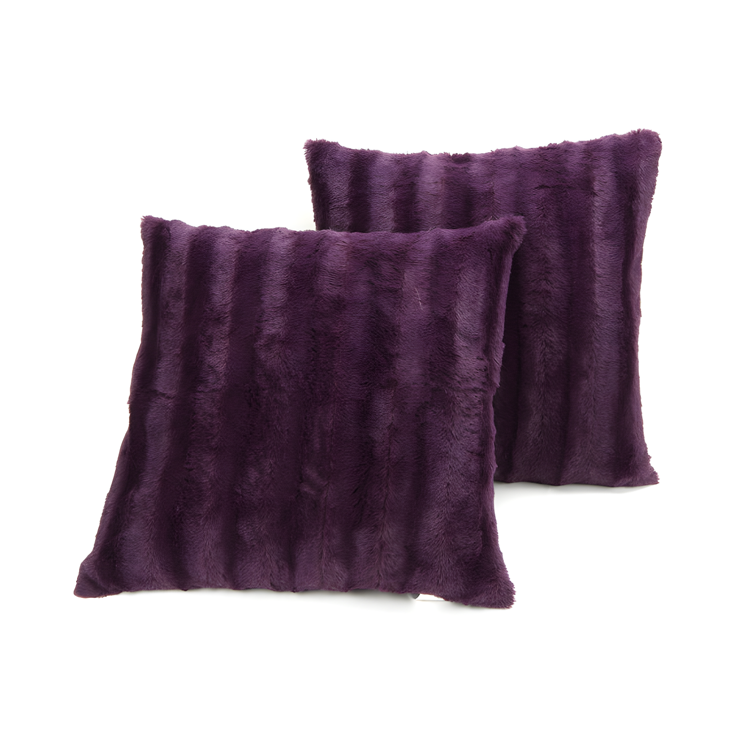 Cheer Collection FRBIN Square Pillow Cover & Insert (Set of 2)