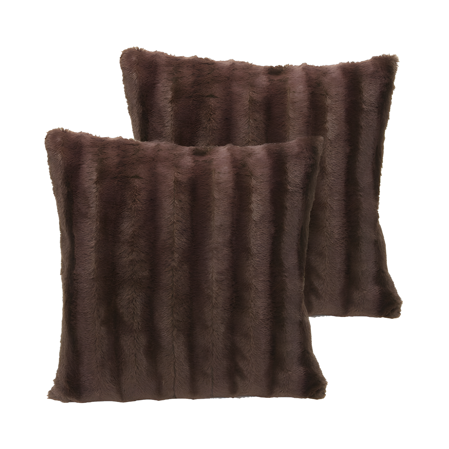 Cheer Collection FRBIN Square Pillow Cover & Insert (Set of 2)