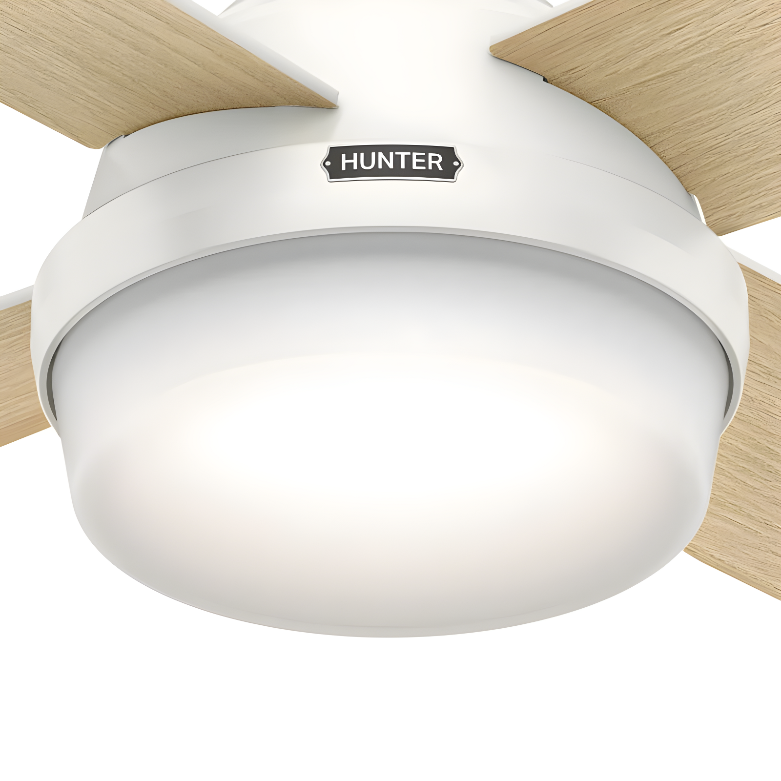 Dempsey 52" 4 - Blade Contemporary Indoor Ceiling Fan with Lights and Remote