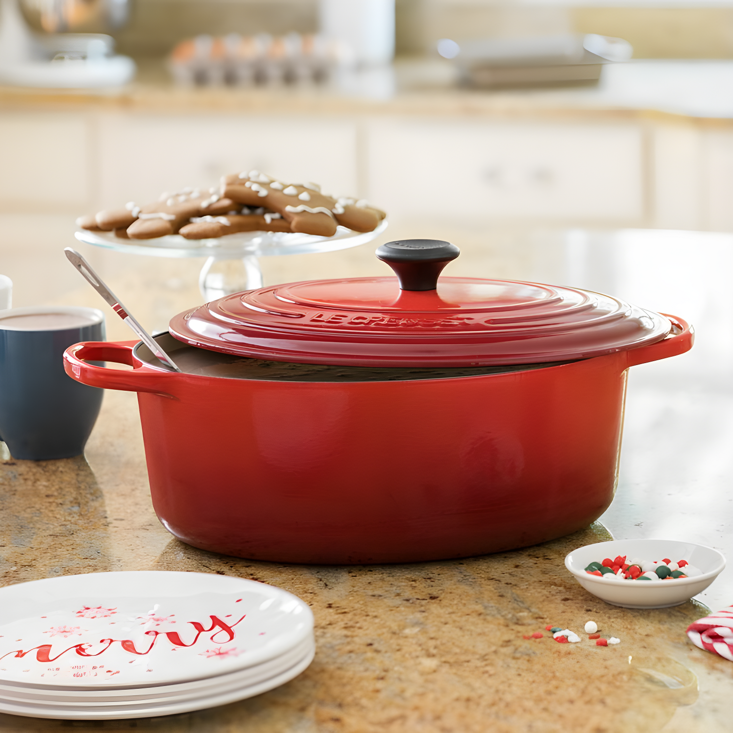 Le Creuset Enameled Cast Iron Oval Dutch Oven with Lid